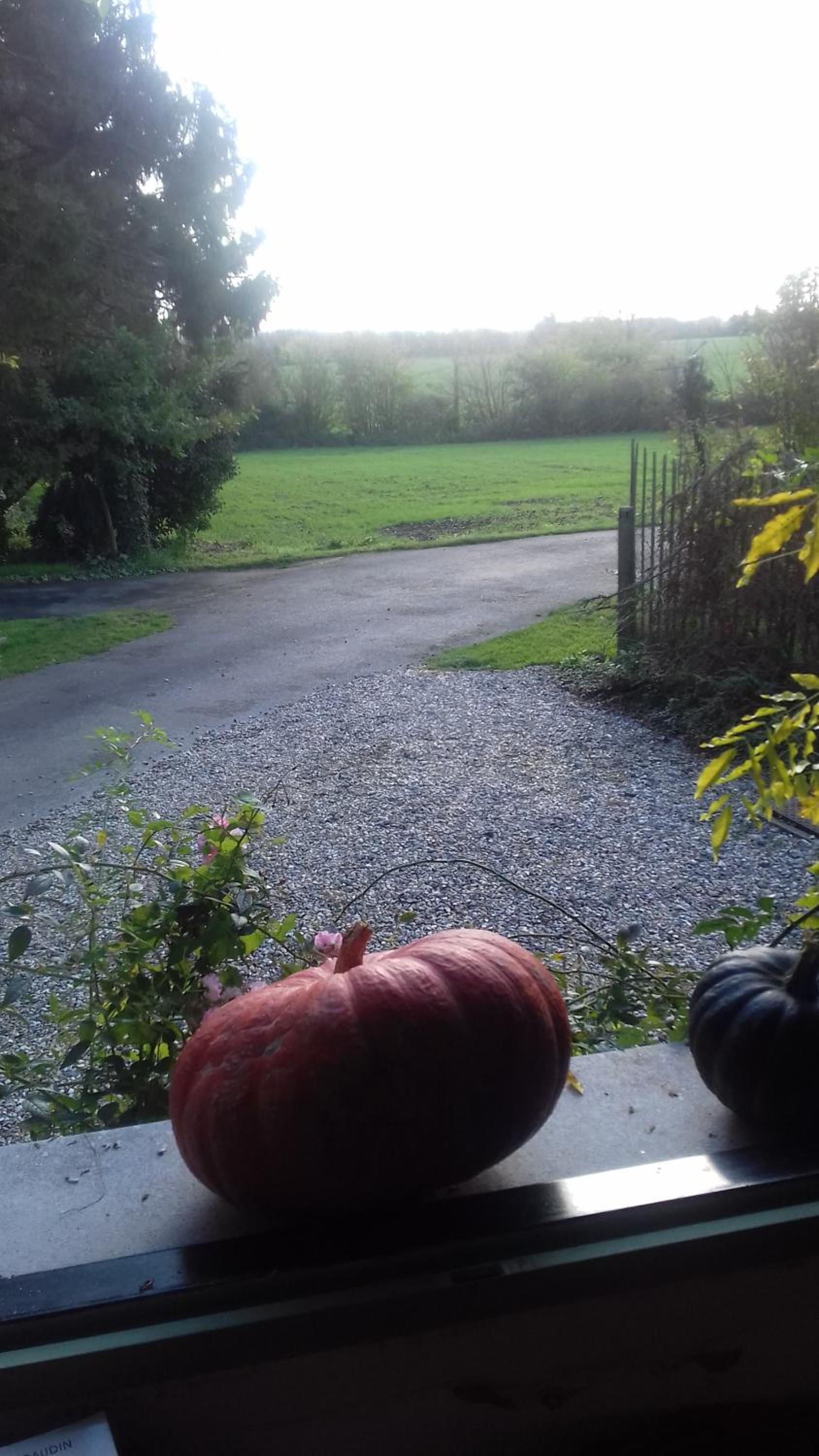 La Colline des Roses view 5