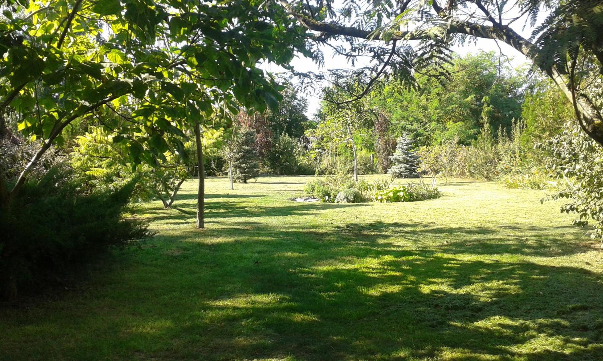 Photo 48