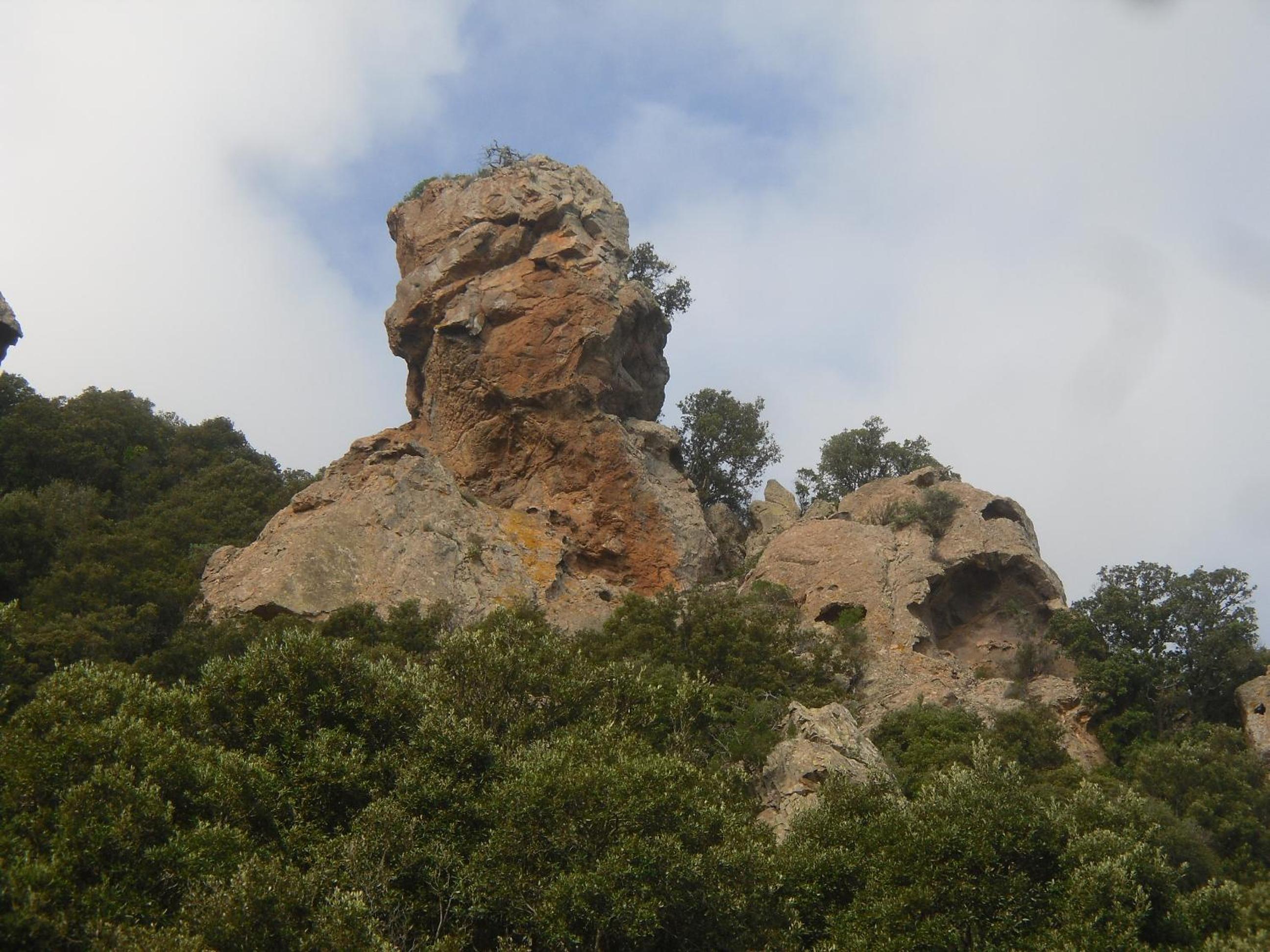 Photo 44