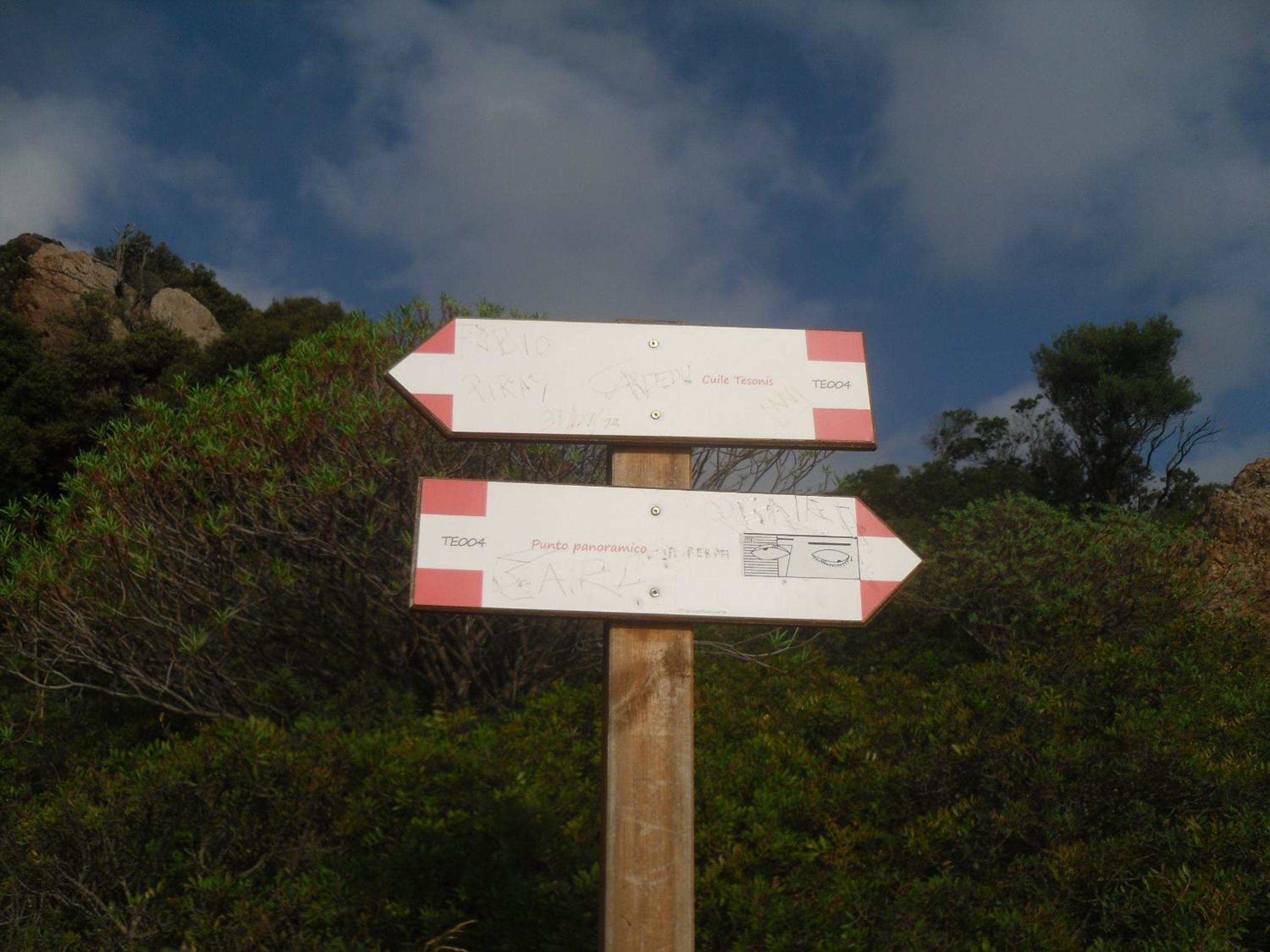 Photo 45