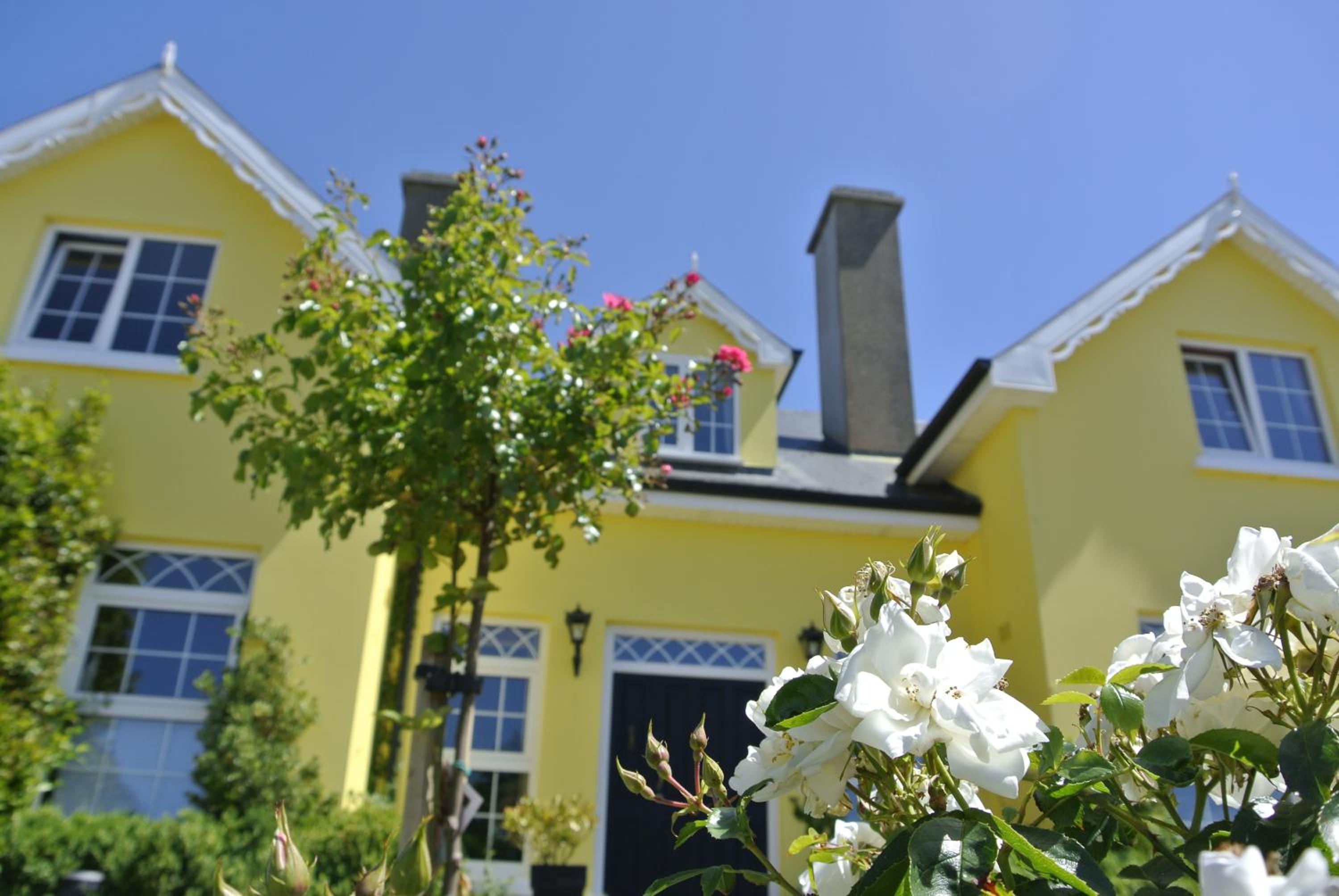 Drumcreehy Country House BB - Property Image 8