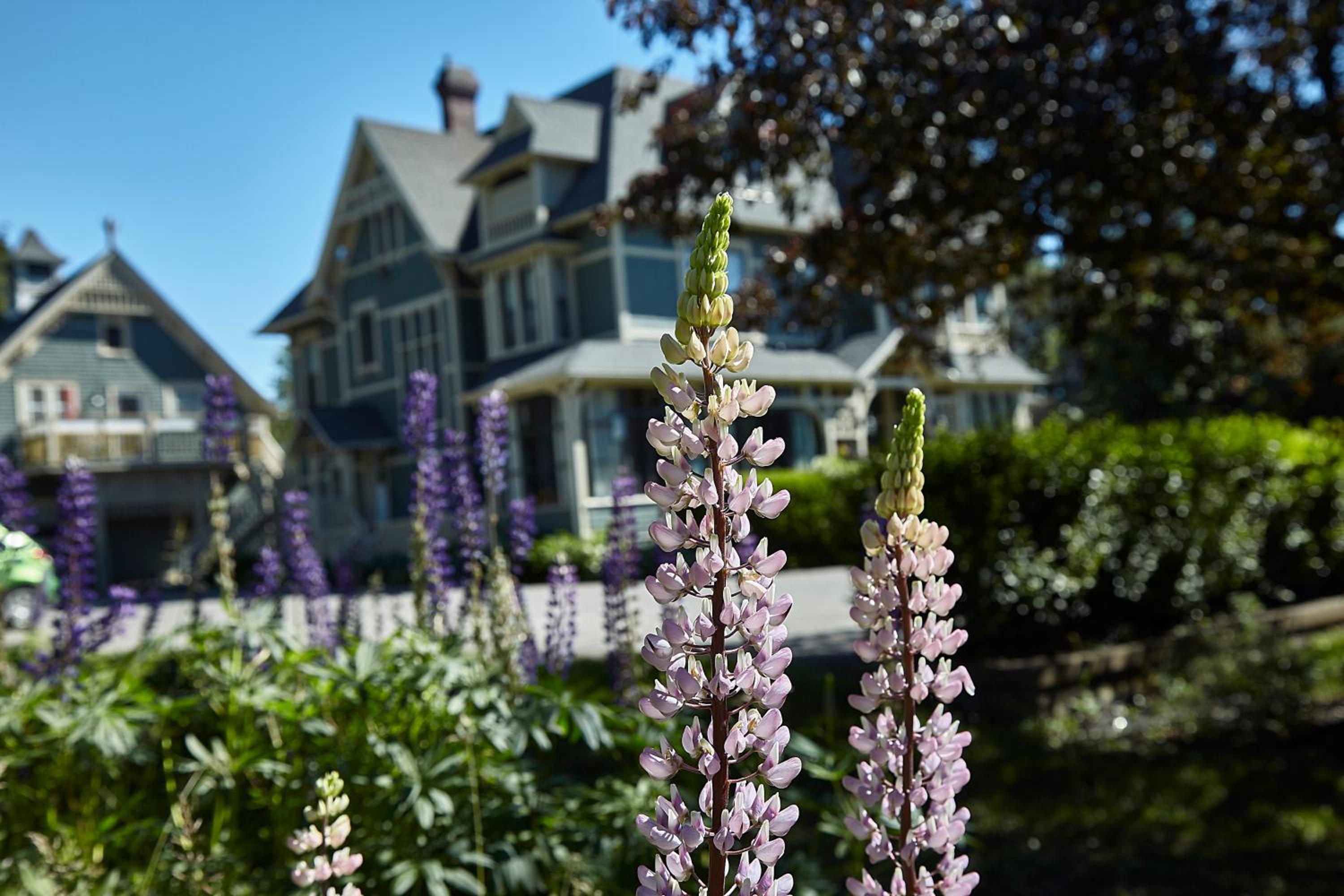 Victoria's Historic Inn - Image 4