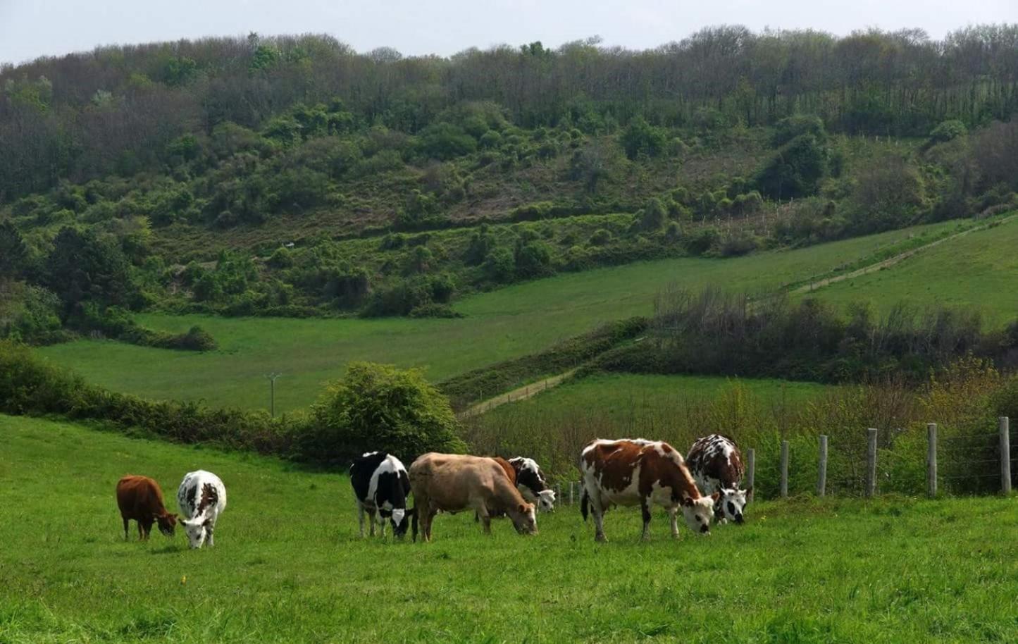 Les gîtes Havrais bis