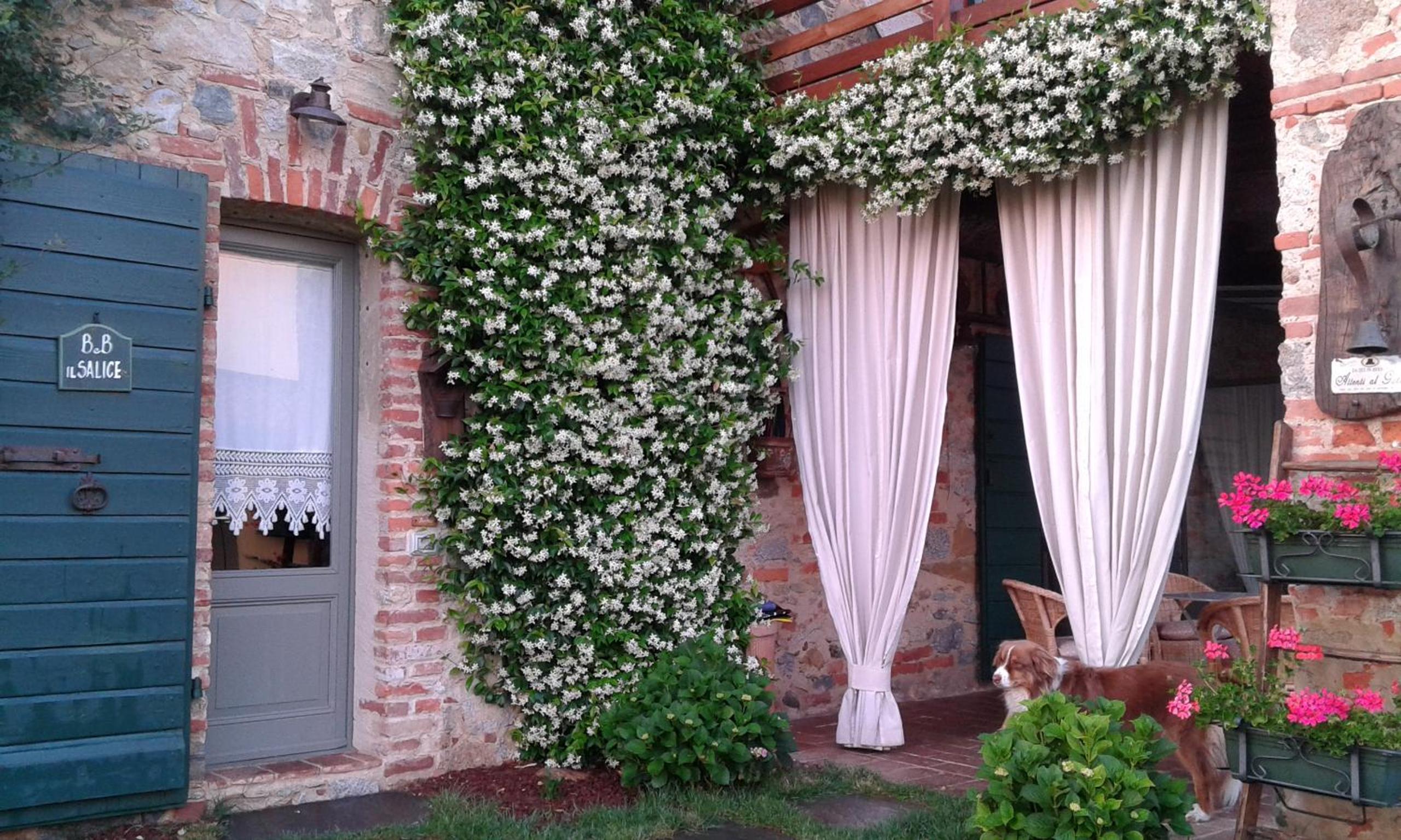 B&B Il Salice