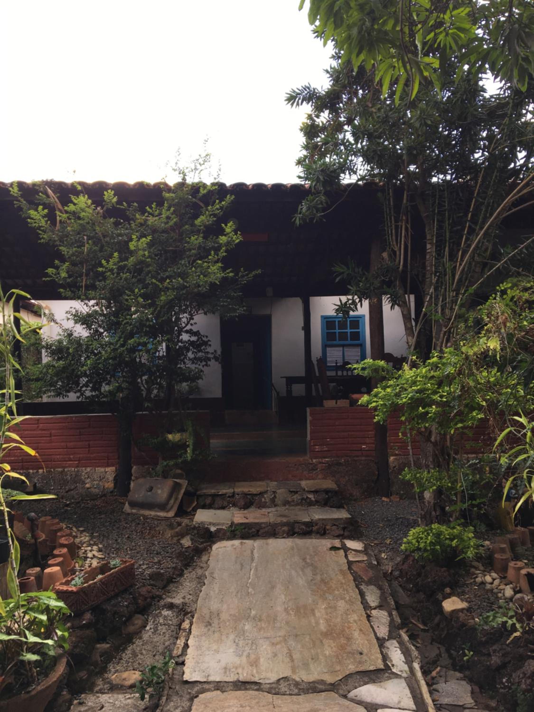 garden