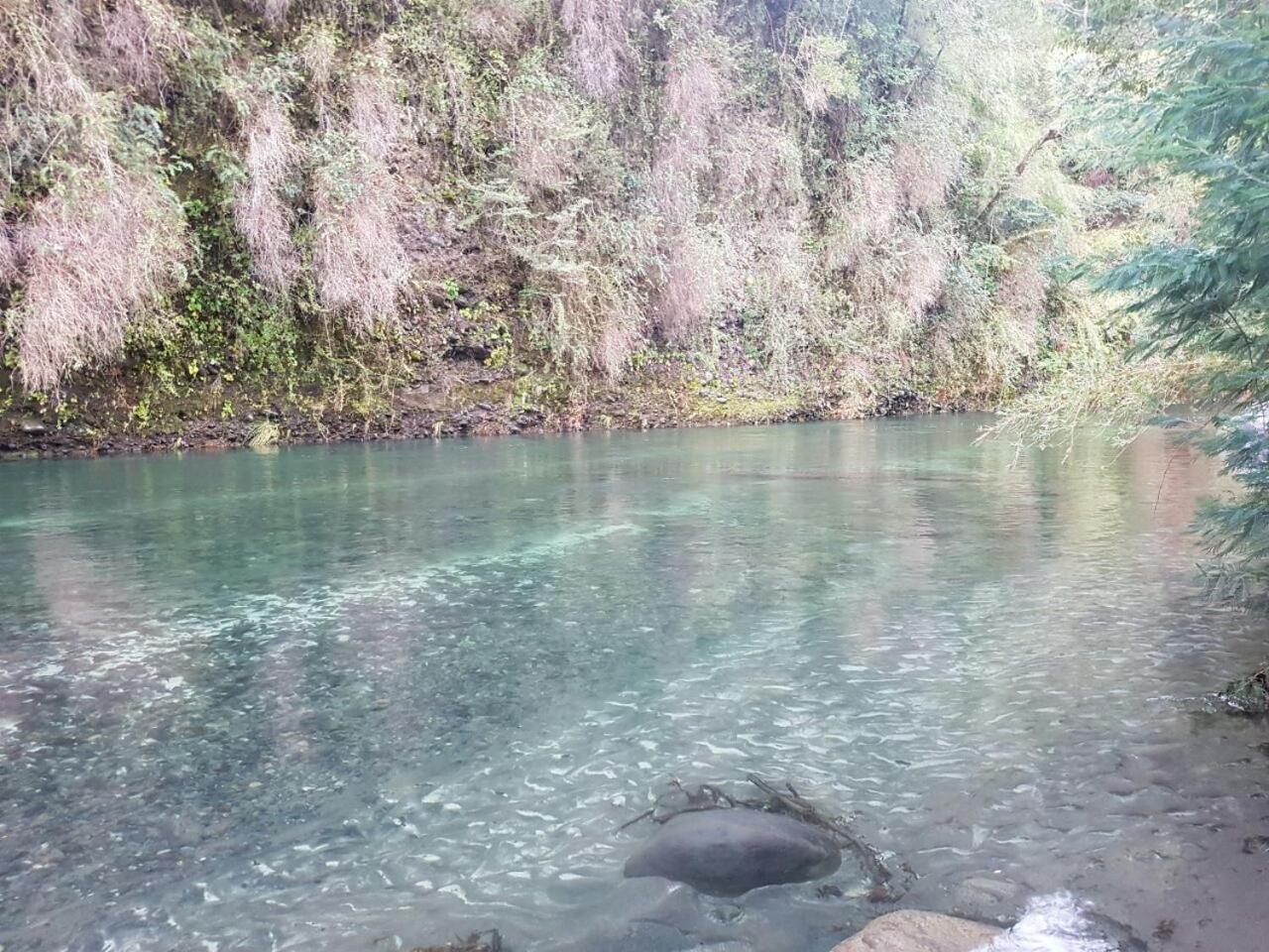 Cabañas Siete Tazas