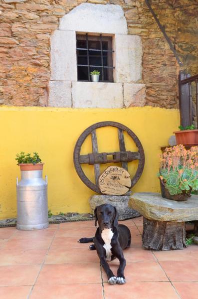 La AsturXana