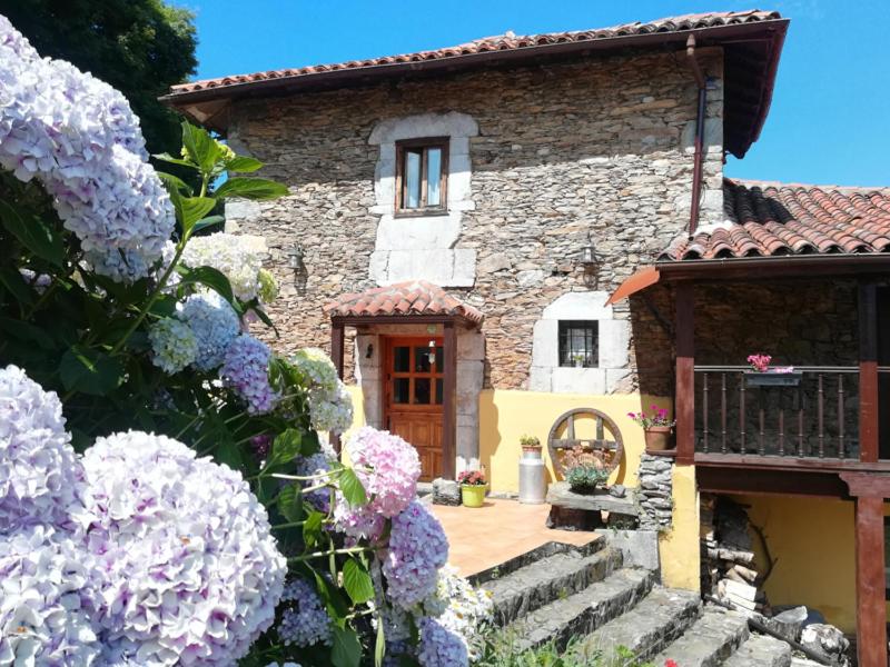 La AsturXana