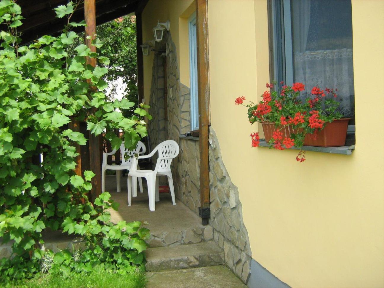 Balatoni Nyár Vendégház view 5
