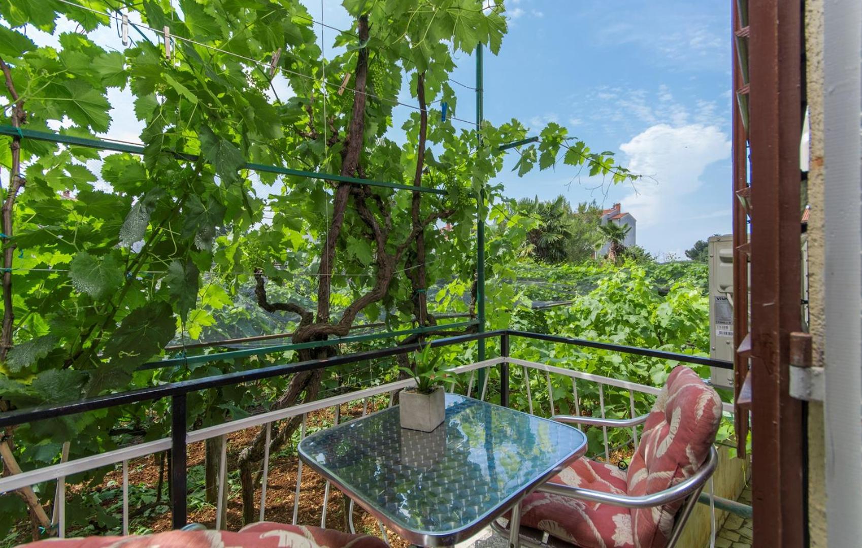 Apartment Complex Sauko - Property Image 11