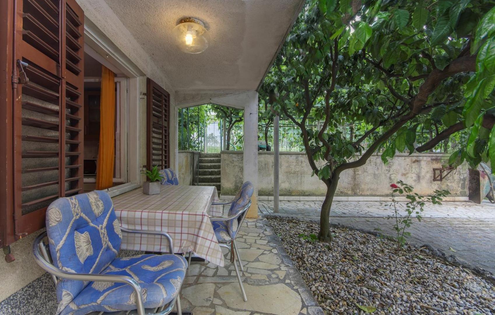 Apartment Complex Sauko - Property Image 9