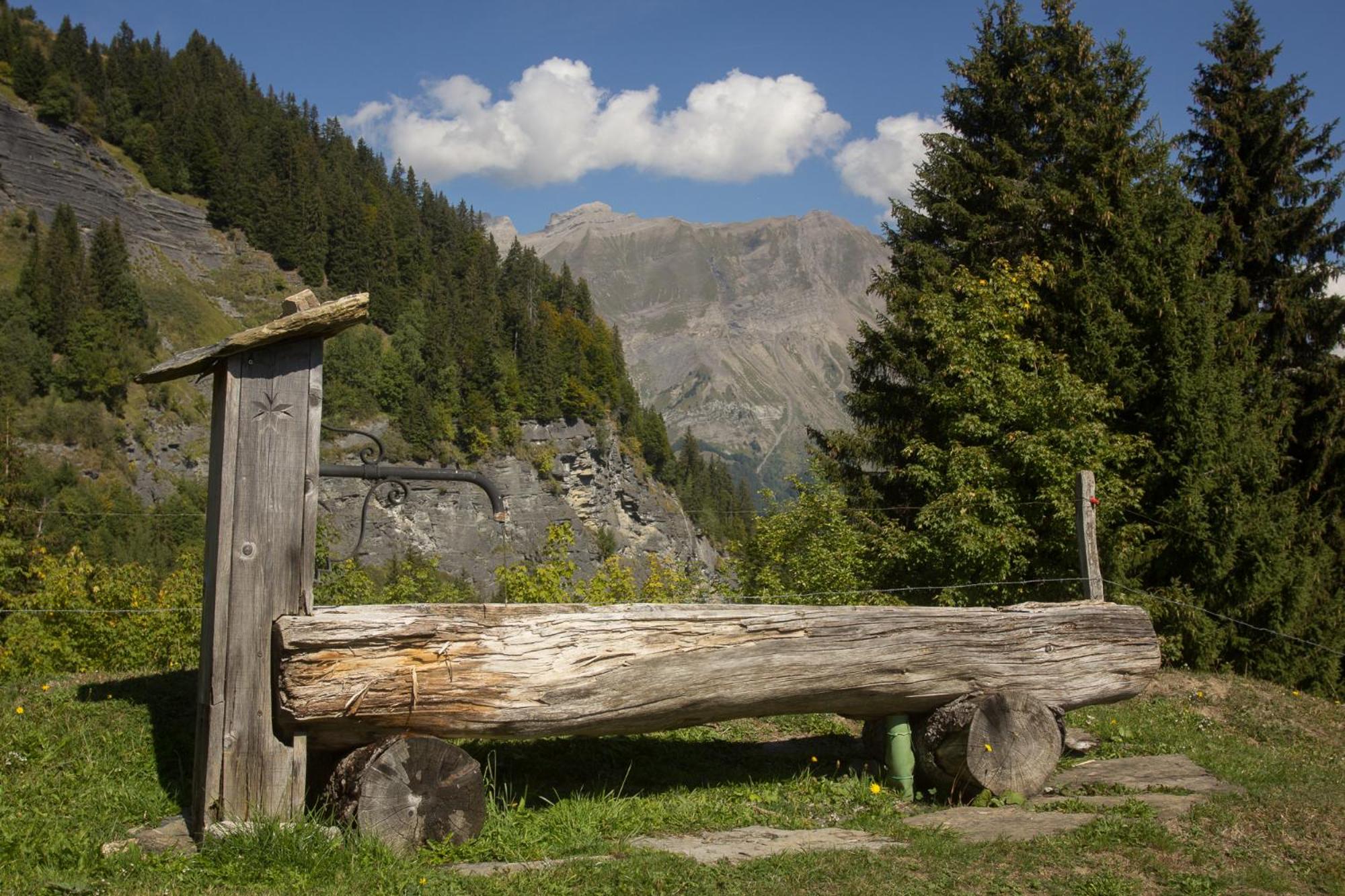 Reine des Aravis - chalet isolé view 4