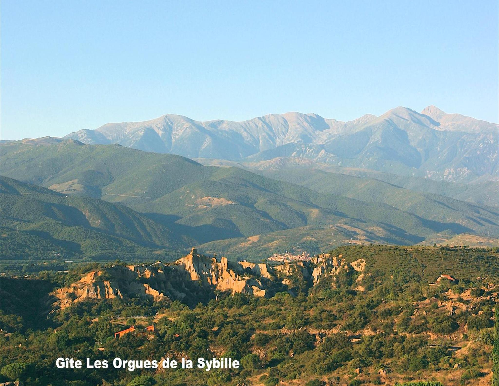 Gîte des Orgues de la Sybille Agave Canigou