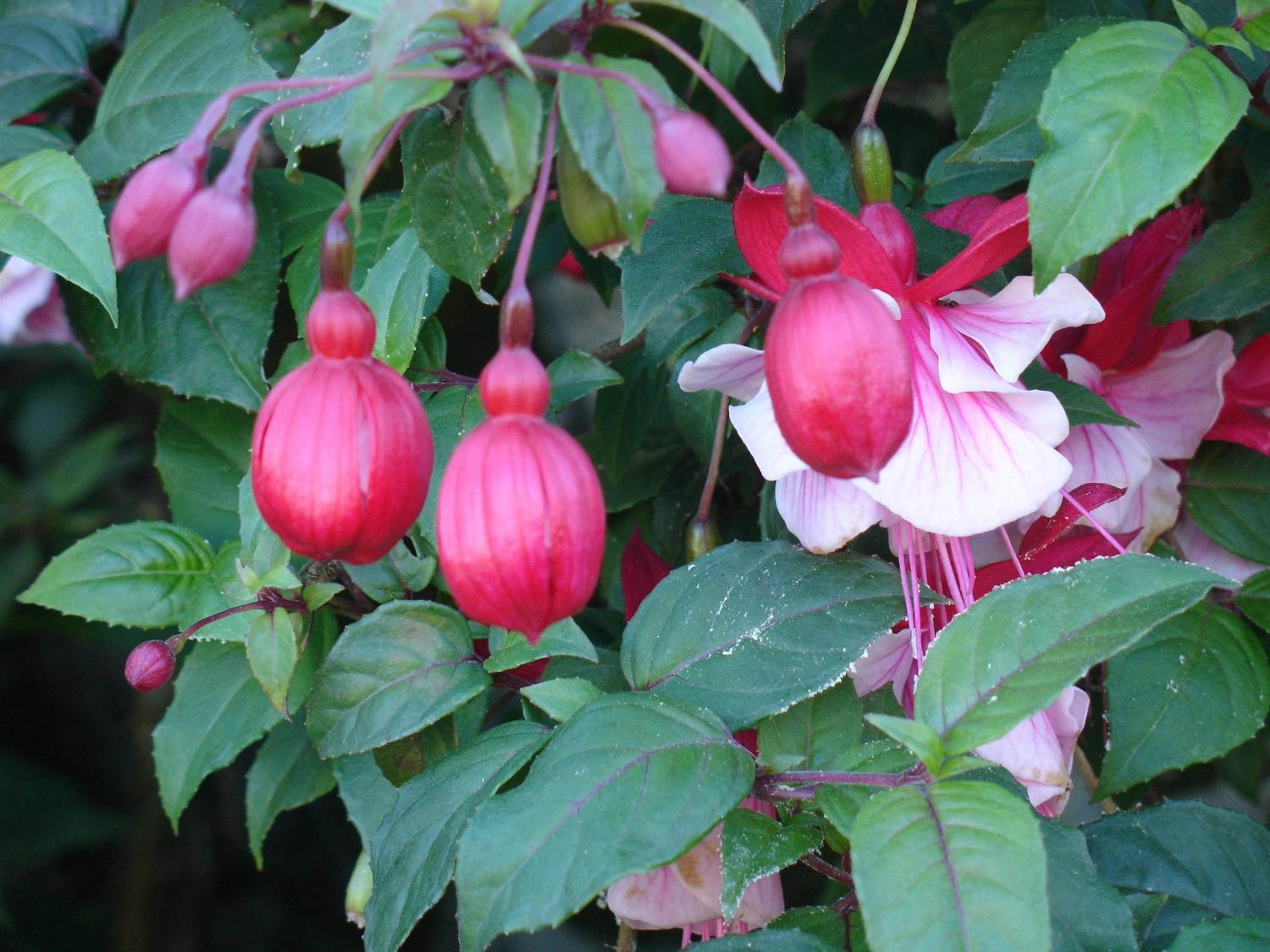 Photo 40