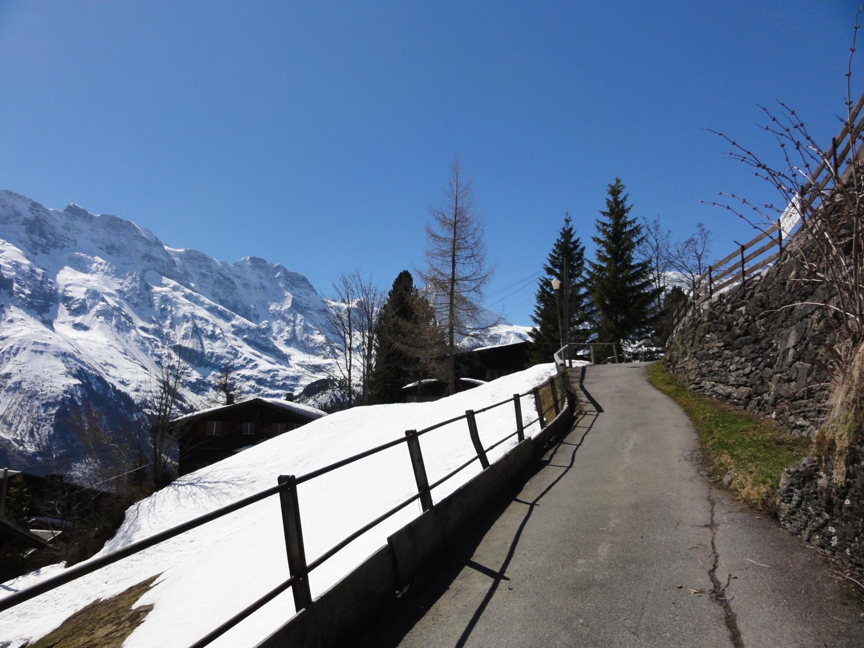Chalet Schönbühl