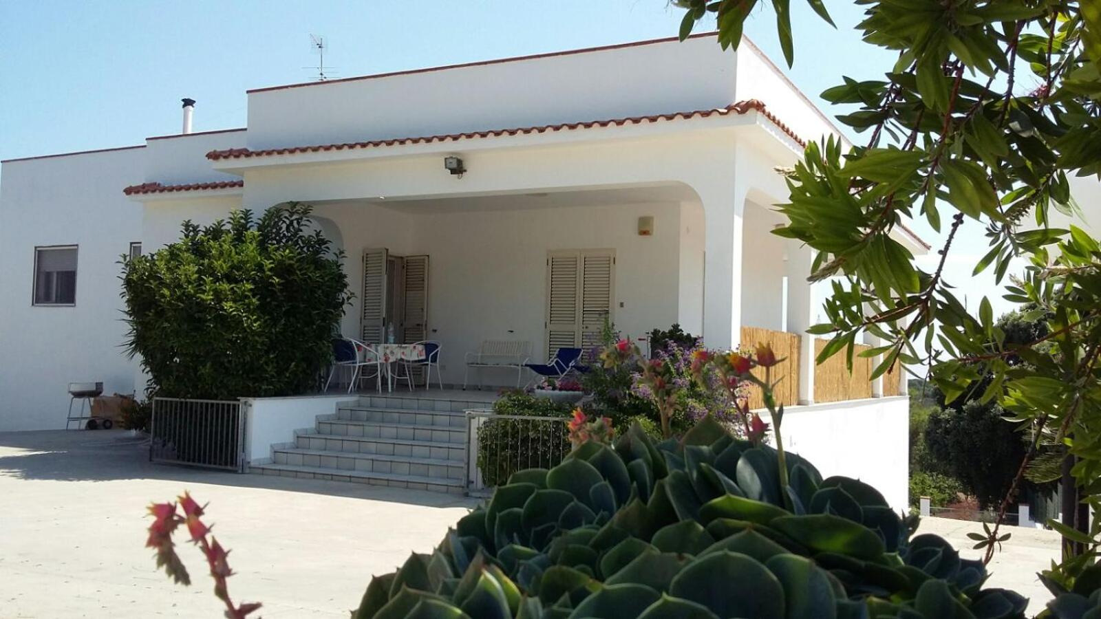 Villa Mediterranea tra gli ulivi view 4