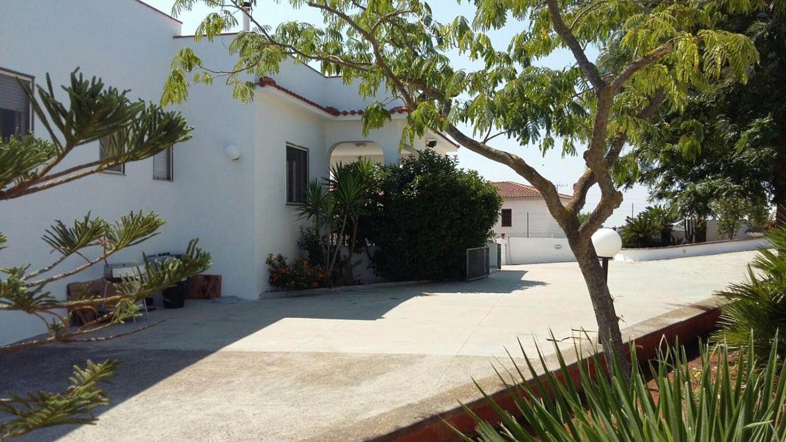 Villa Mediterranea tra gli ulivi view 5