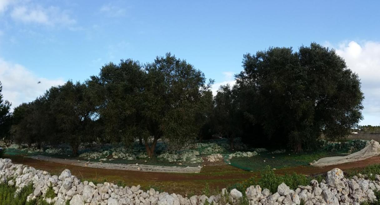 Photo 46