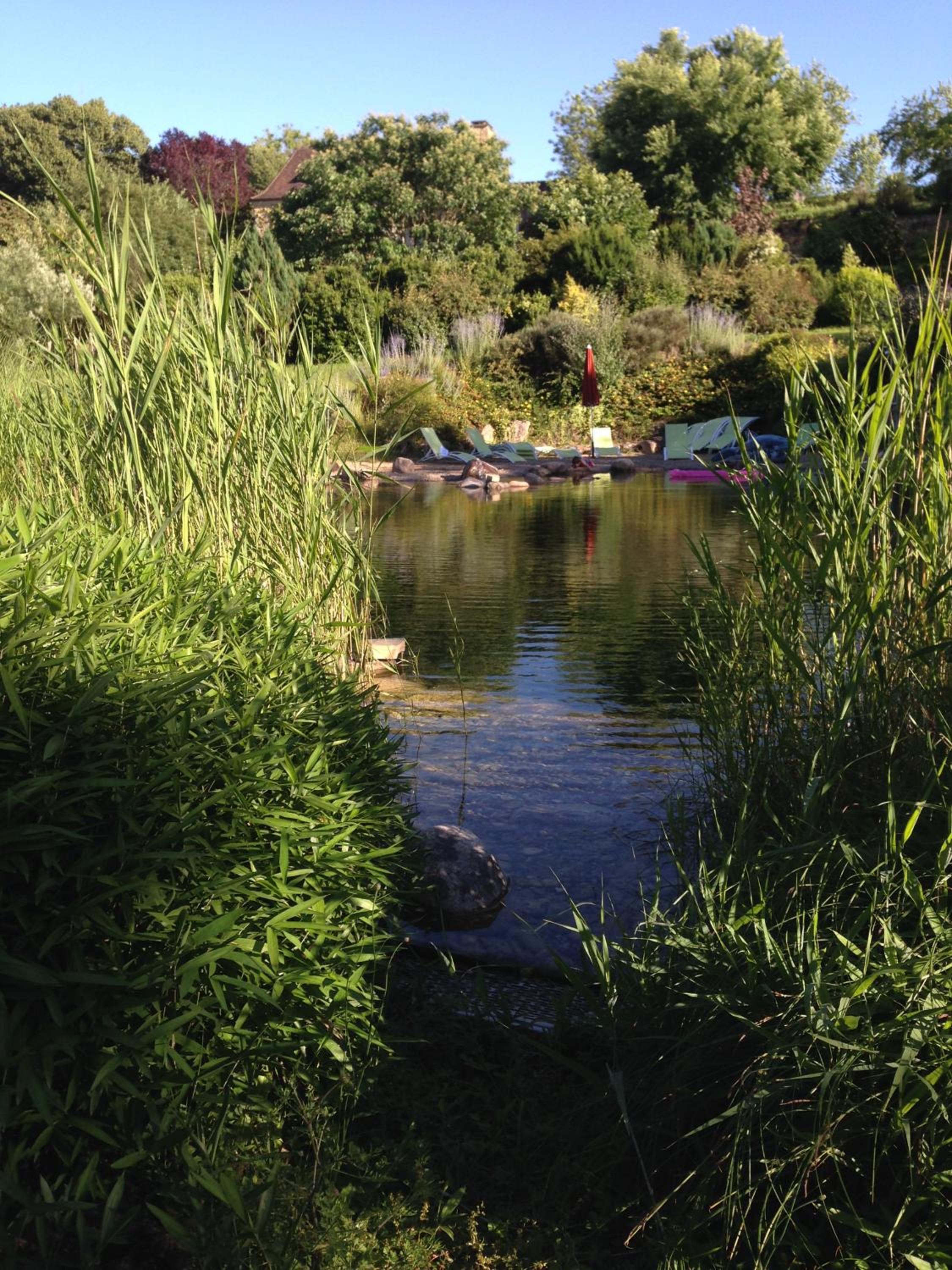 Photo 34