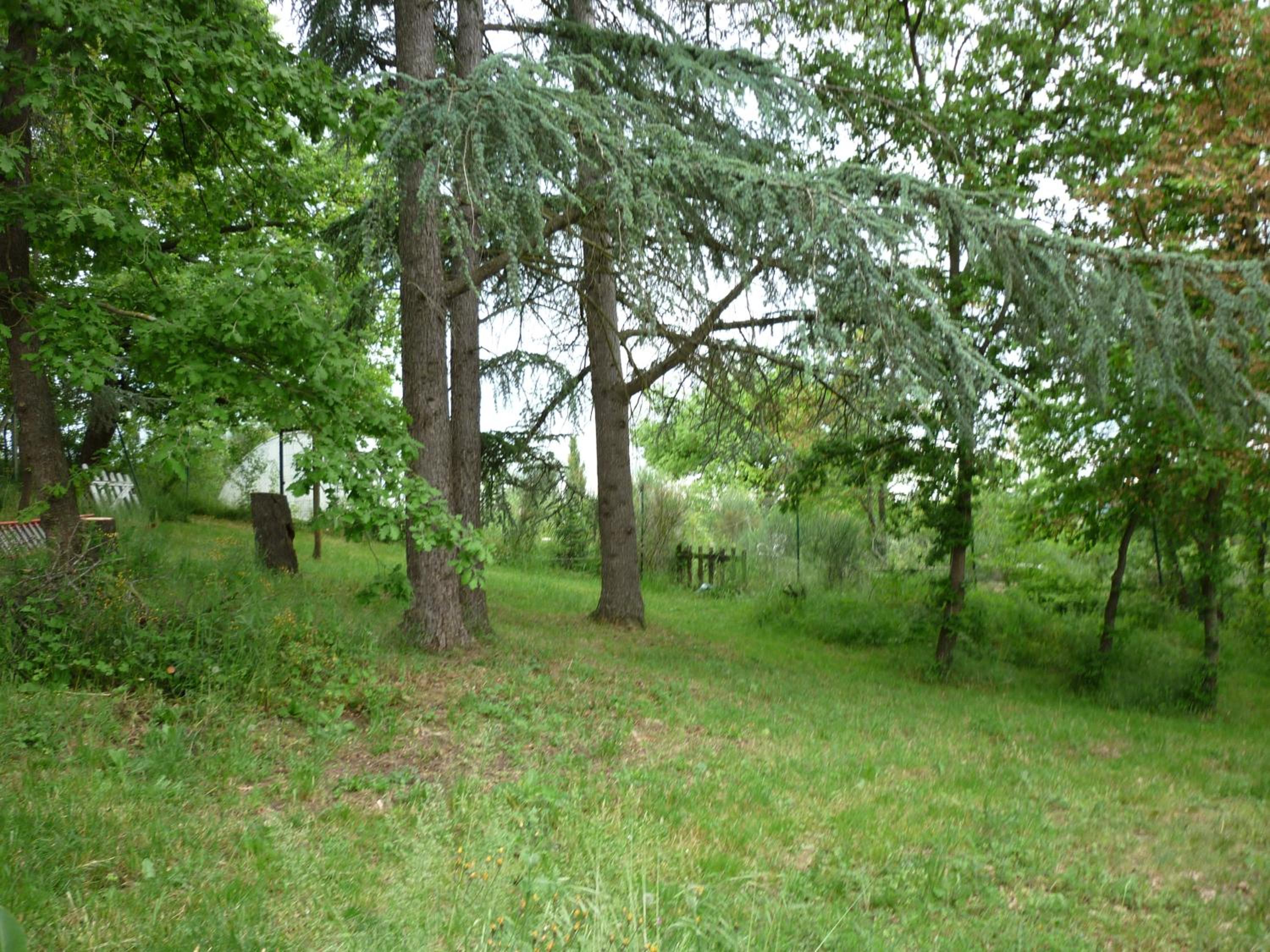 Photo 32