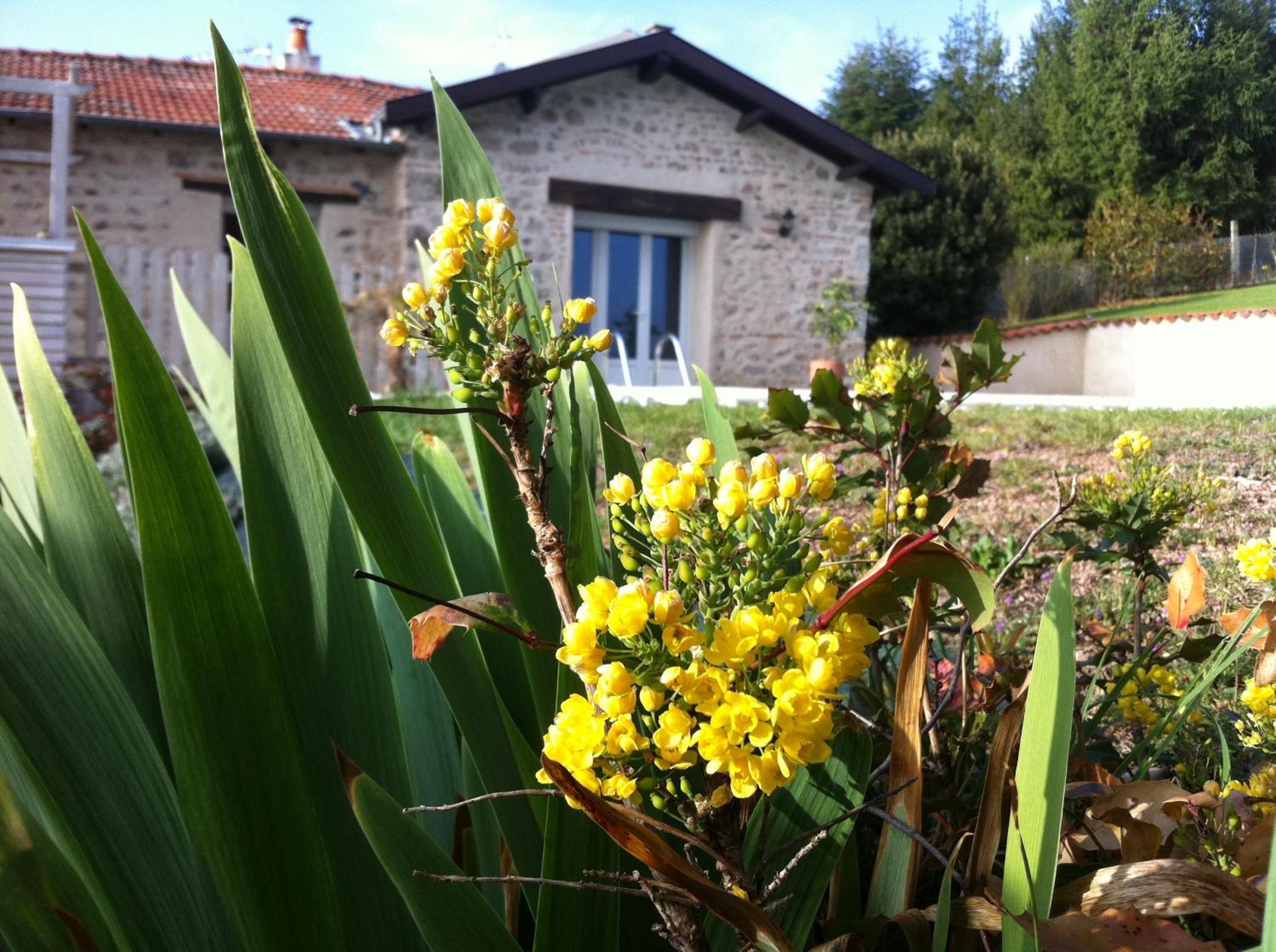 Gîte de la Collonge