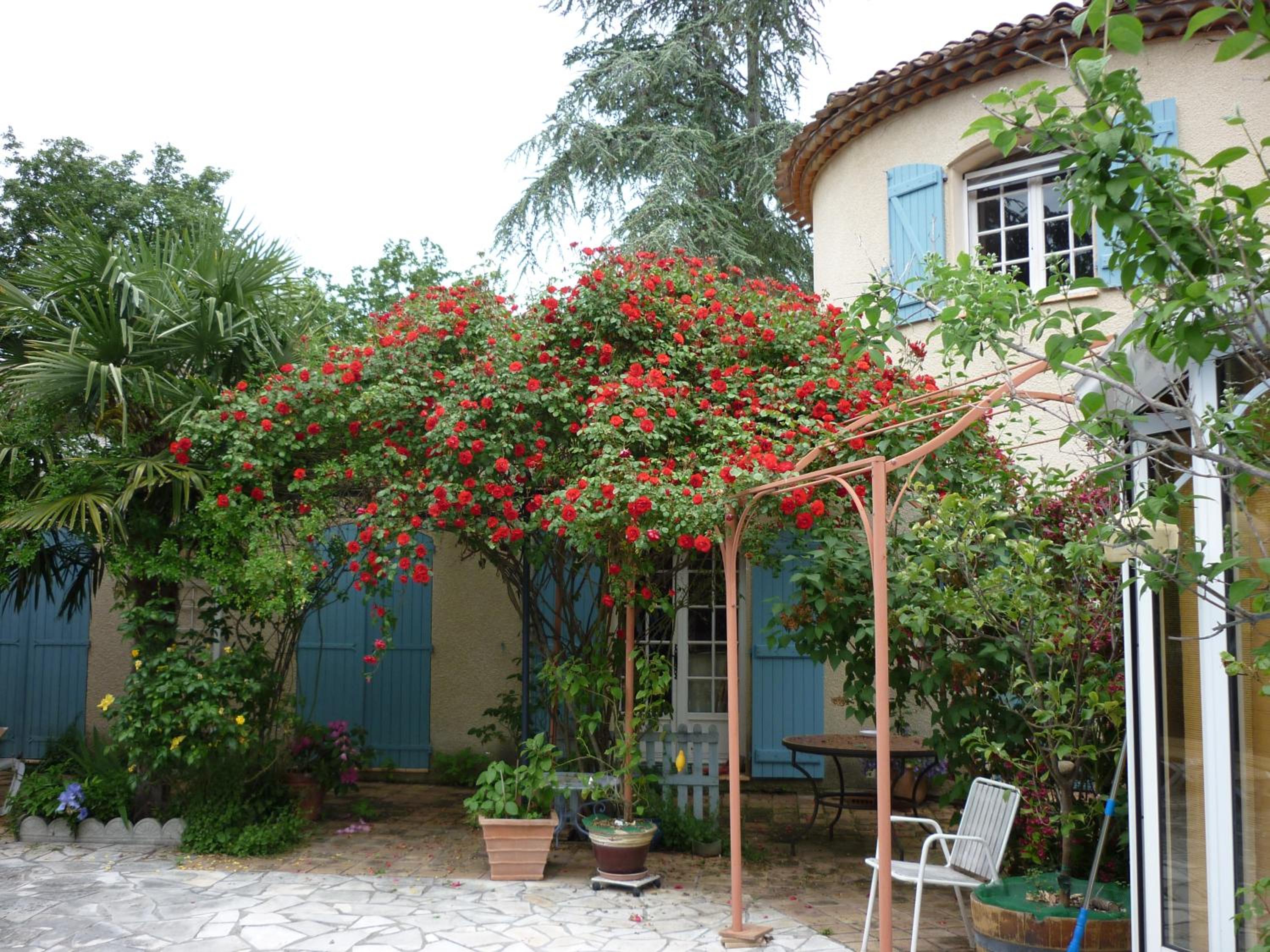 Photo 10