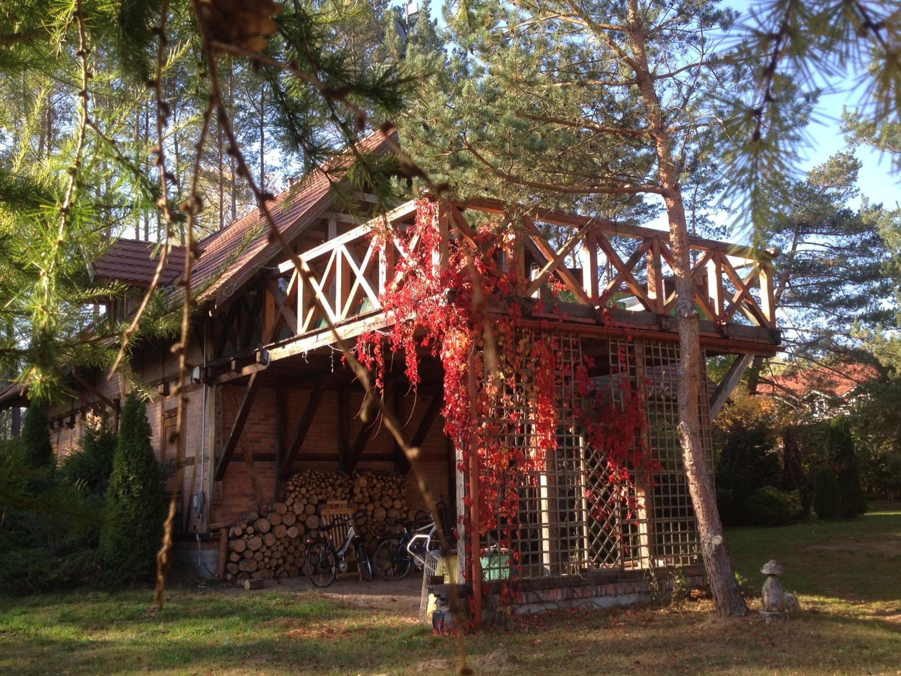 Villa Leśna view 5