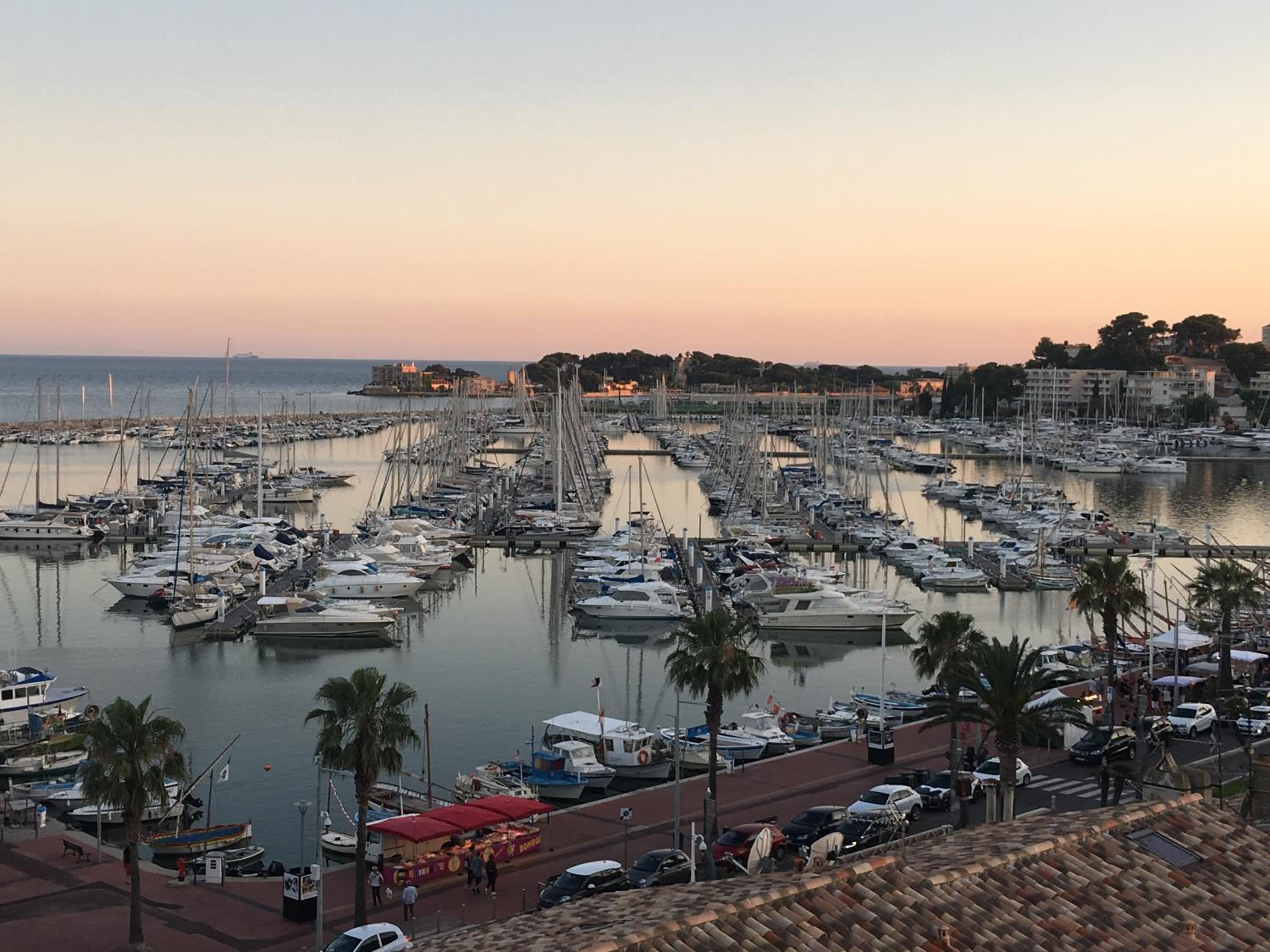 L'excelsior