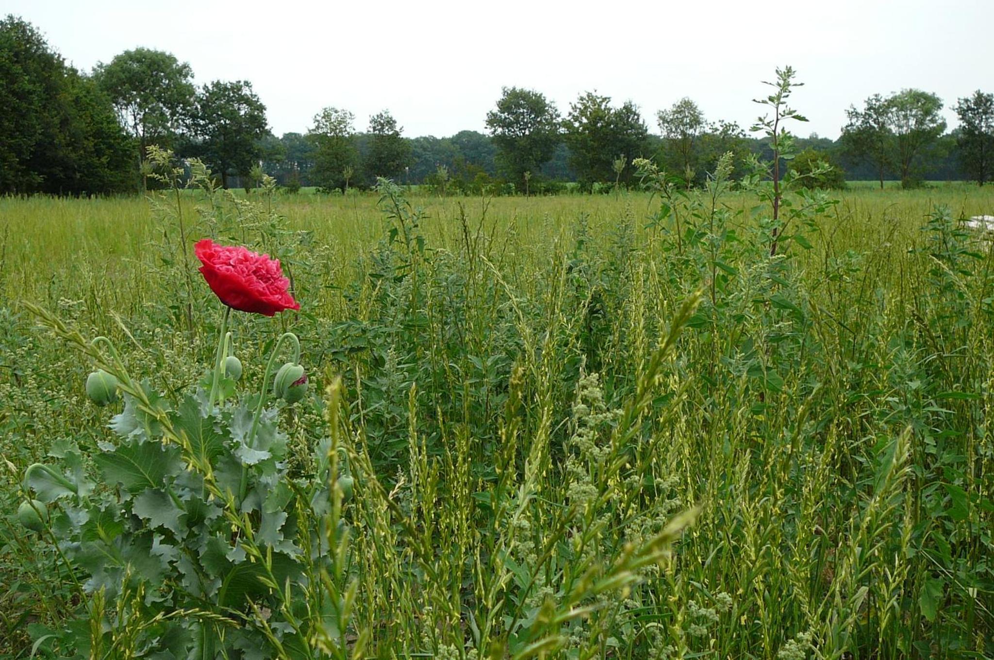 Gasterij Landschot view 2