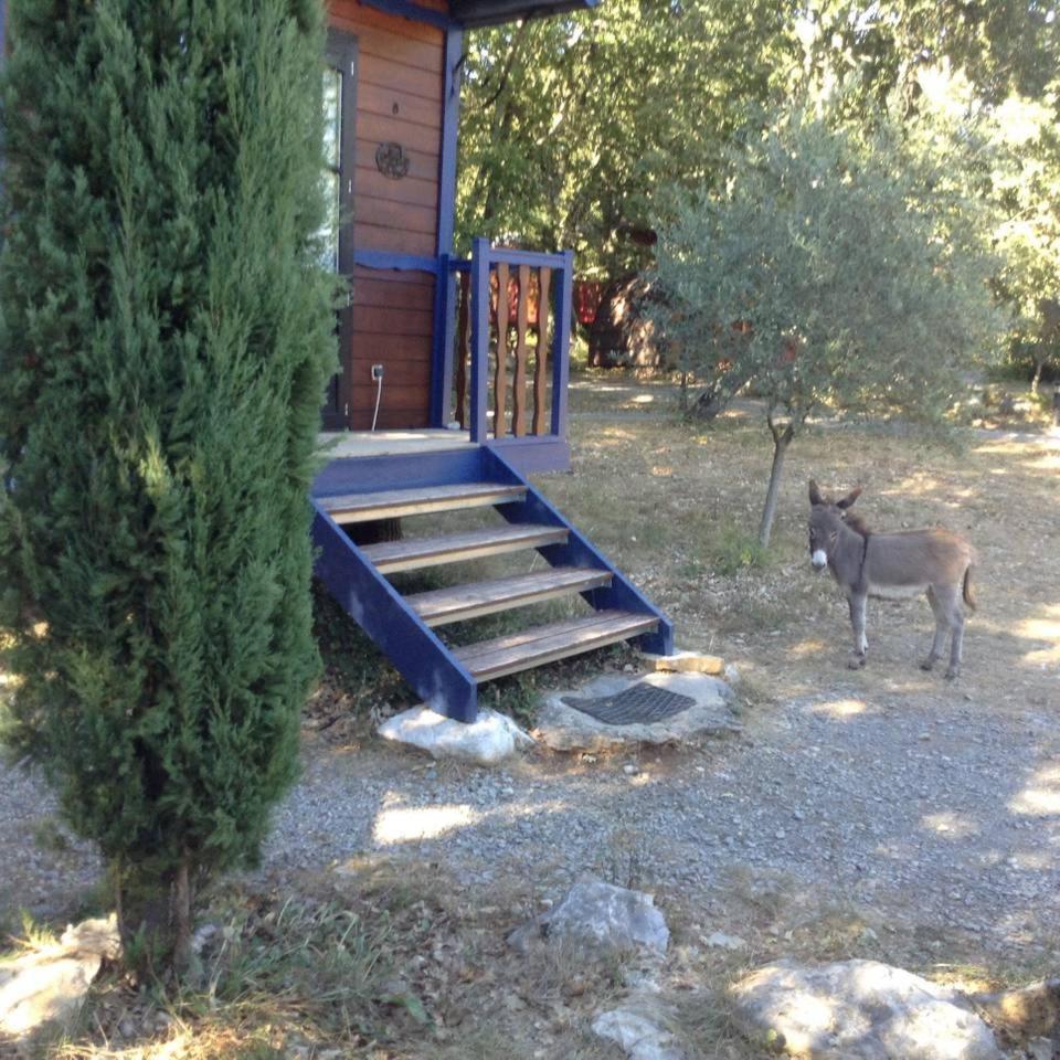 Photo 52