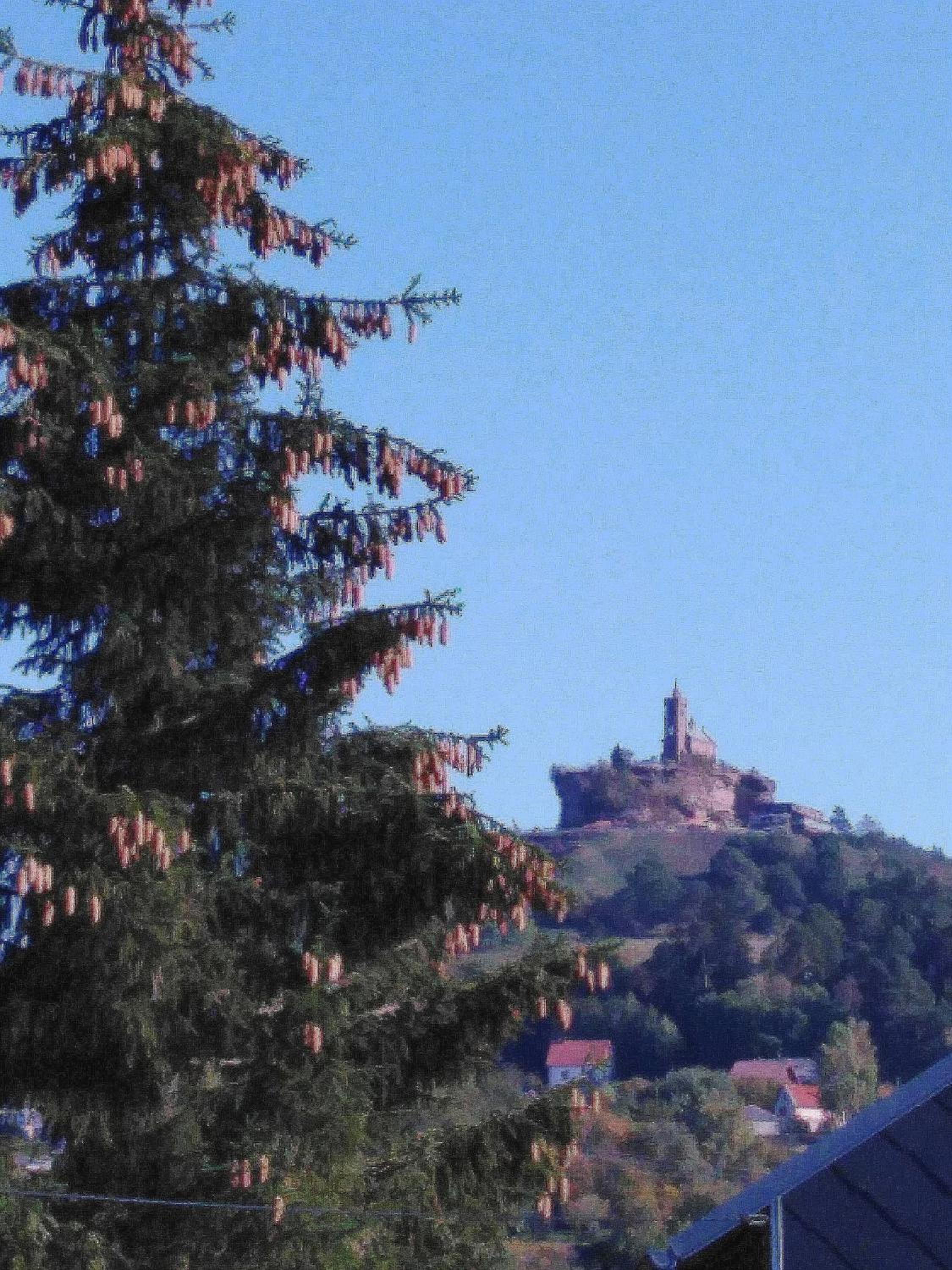 Le Gite Du Bucheron