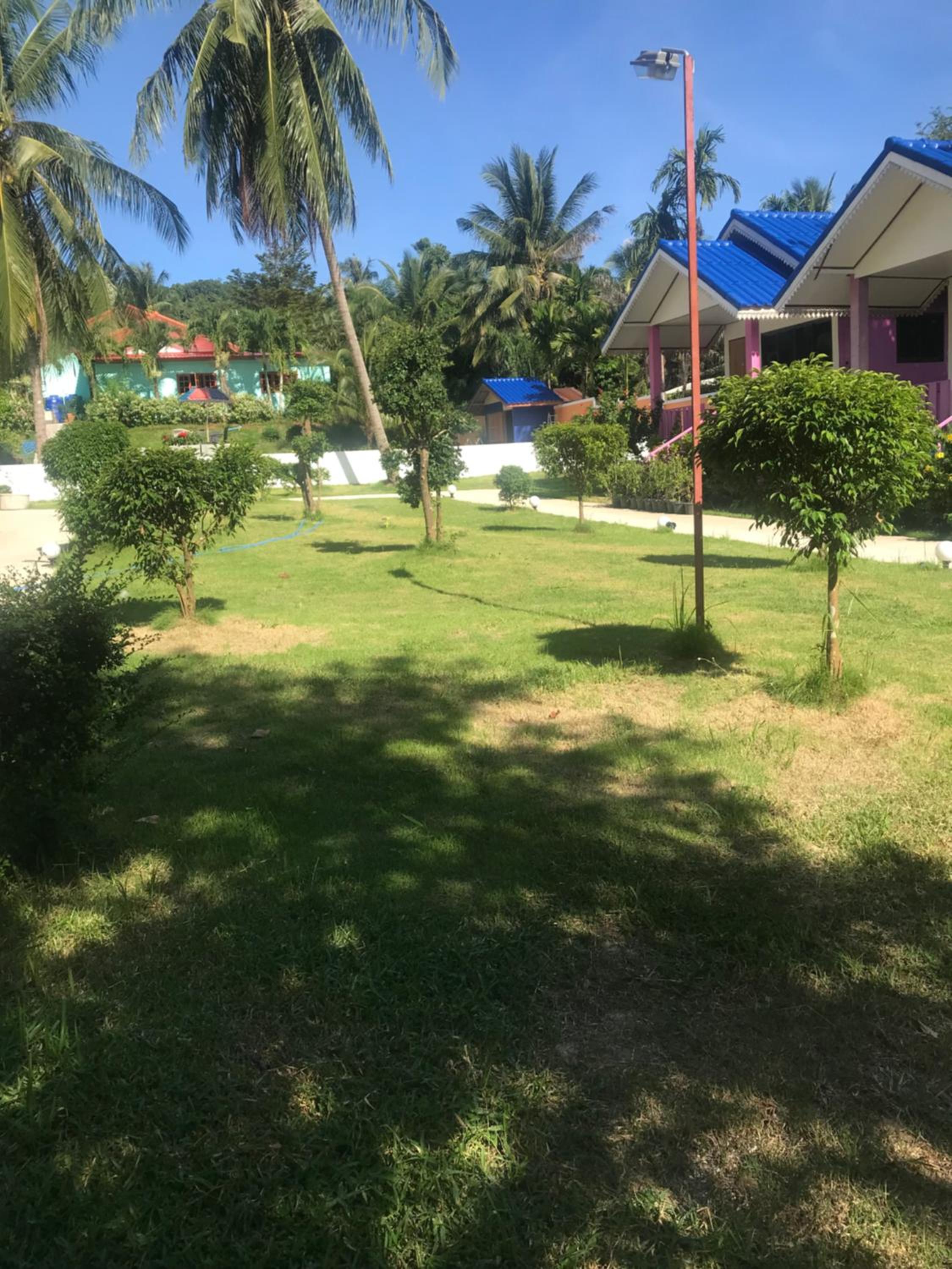 Photo 26