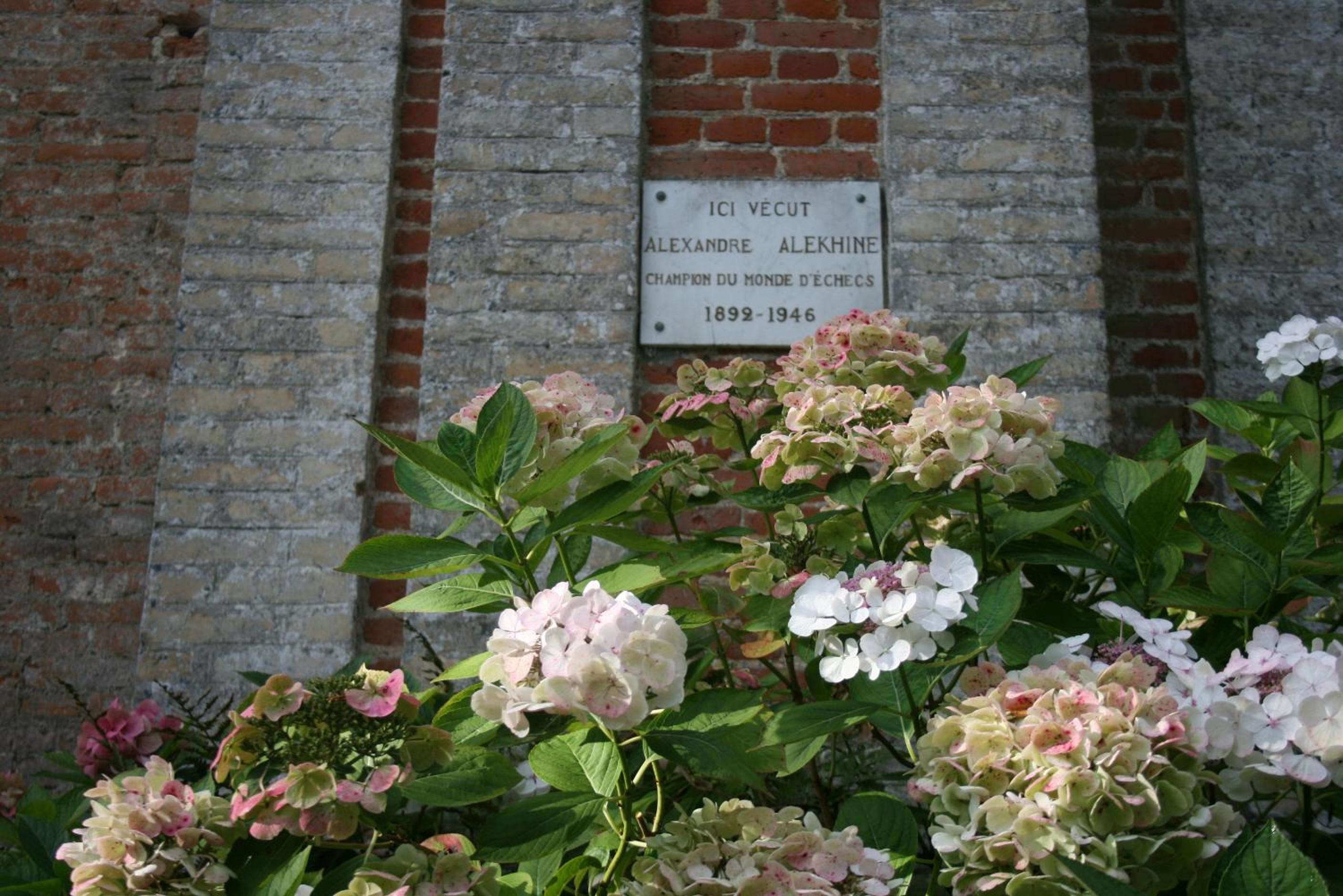 Photo 15