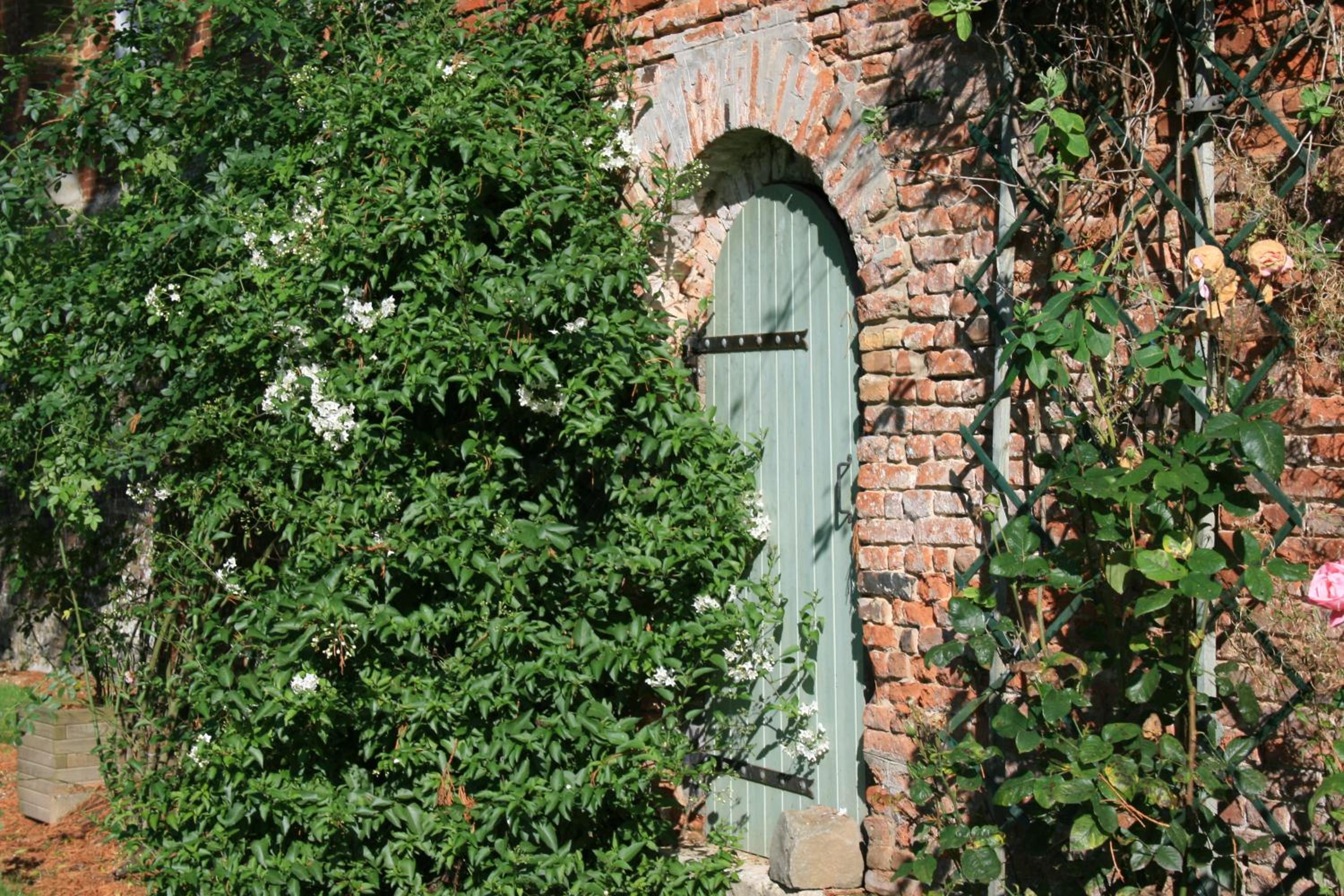 Photo 21