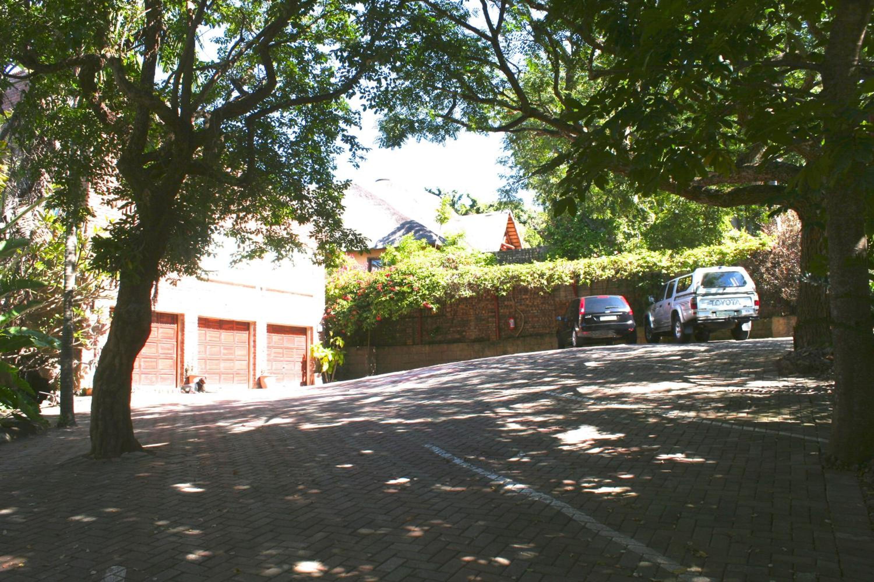Photo 21