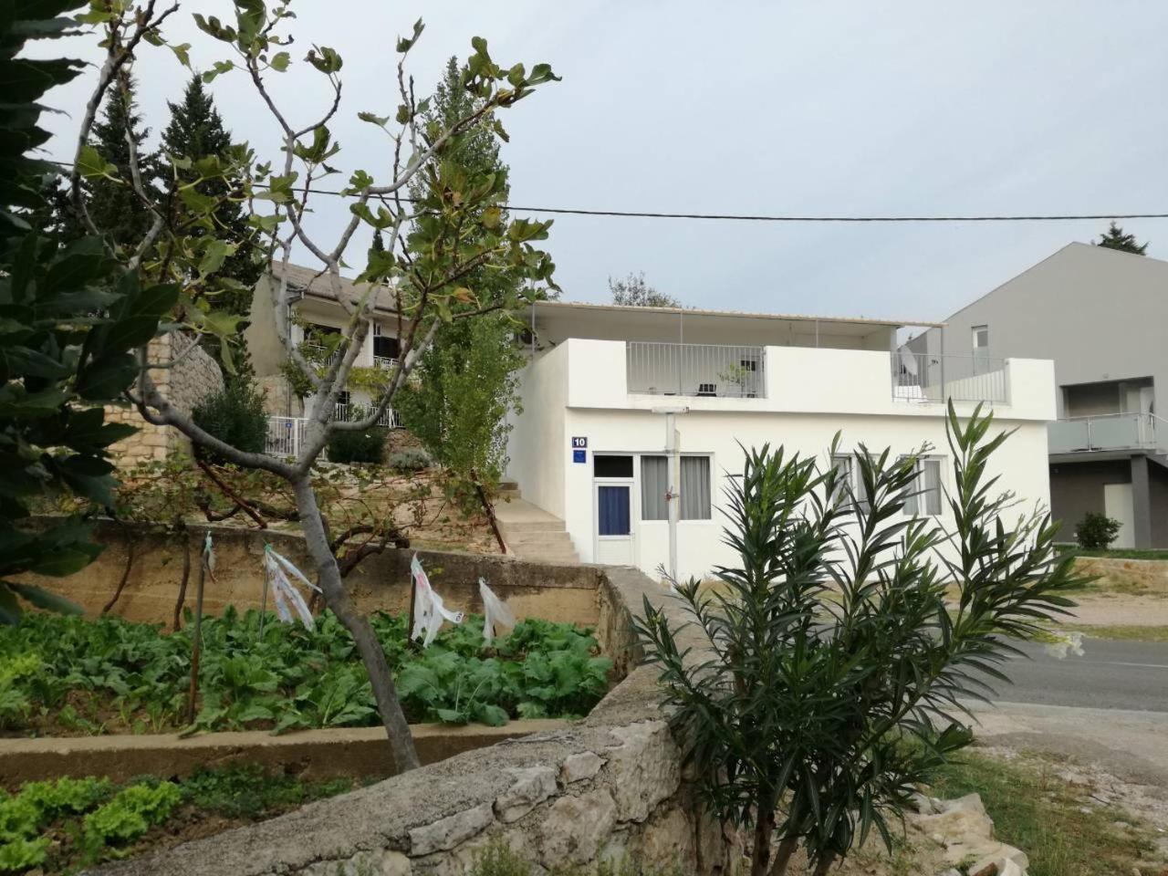 Photo 28