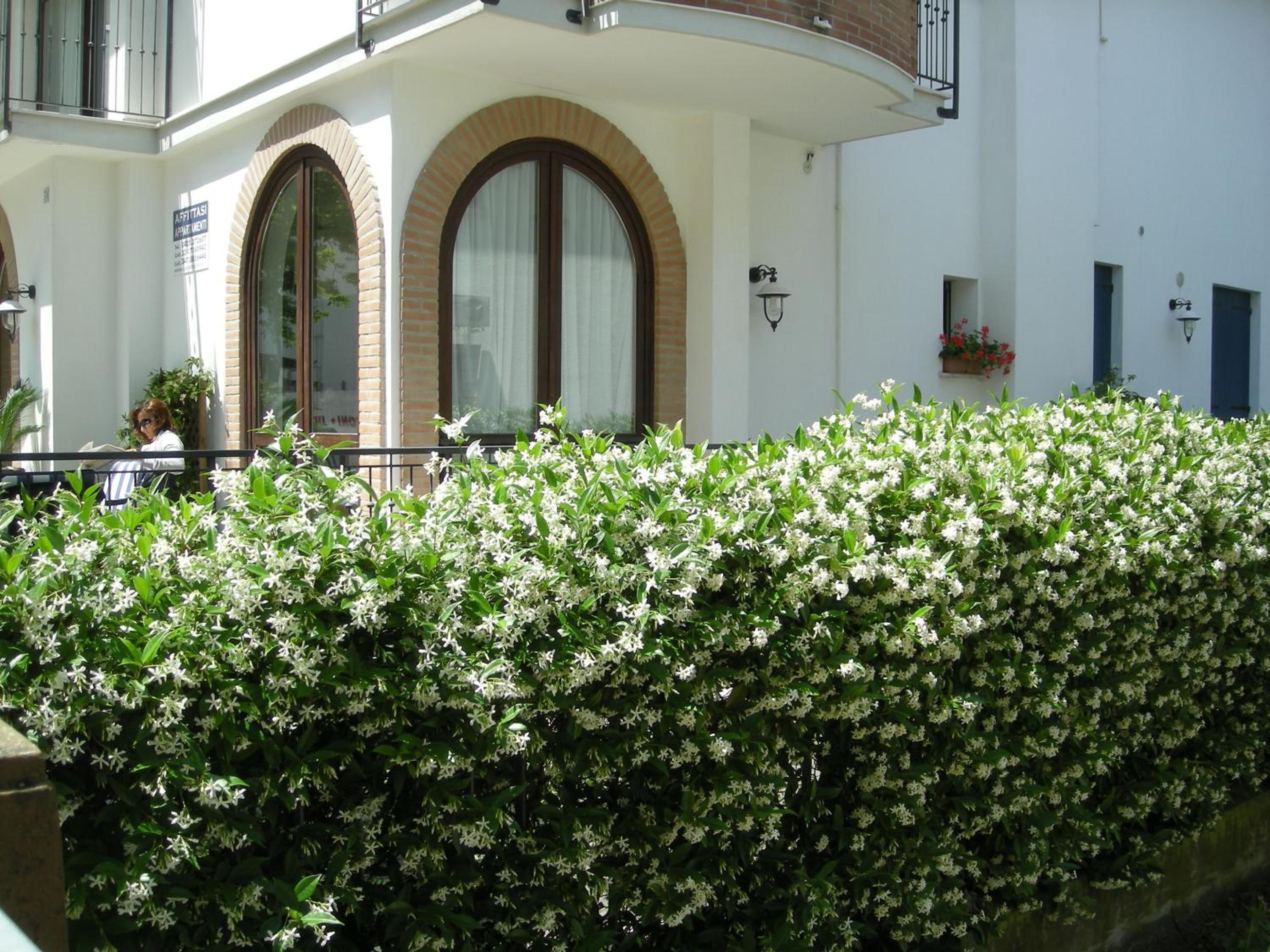 Photo 47