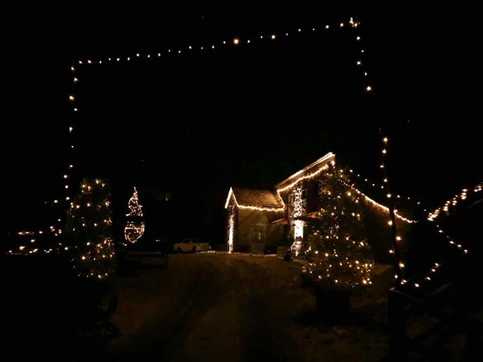 Photo 41