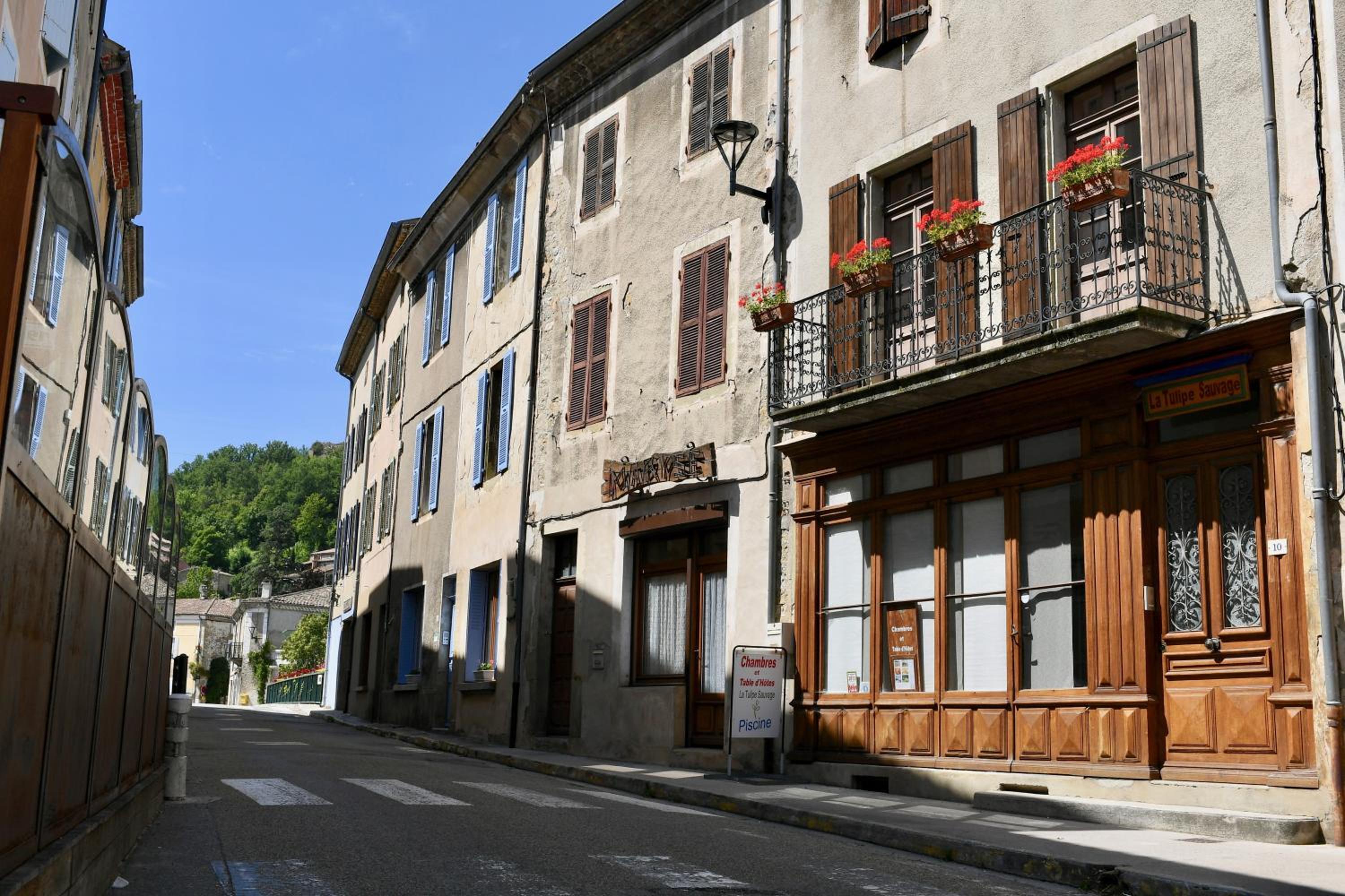 La TULIPE SAUVAGE