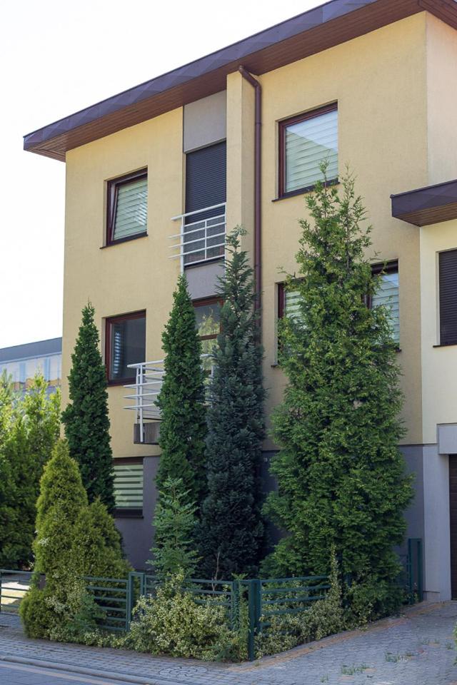 APARTAMENTY HIEROWSKIEGO 60G view 5