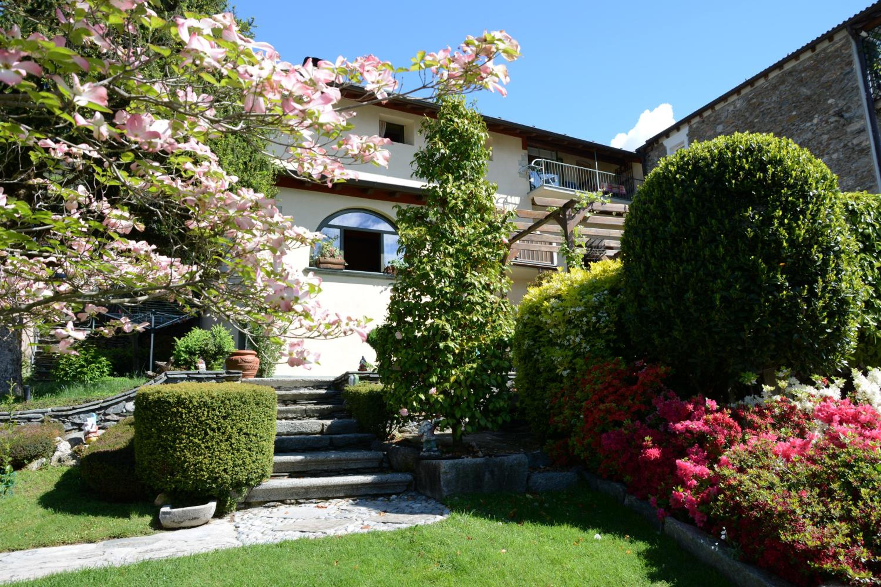 Photo 41