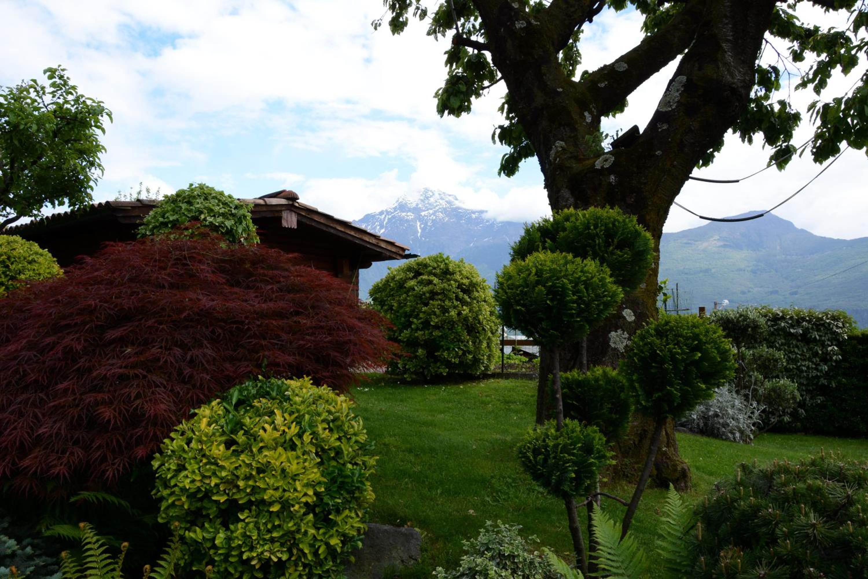 Photo 45