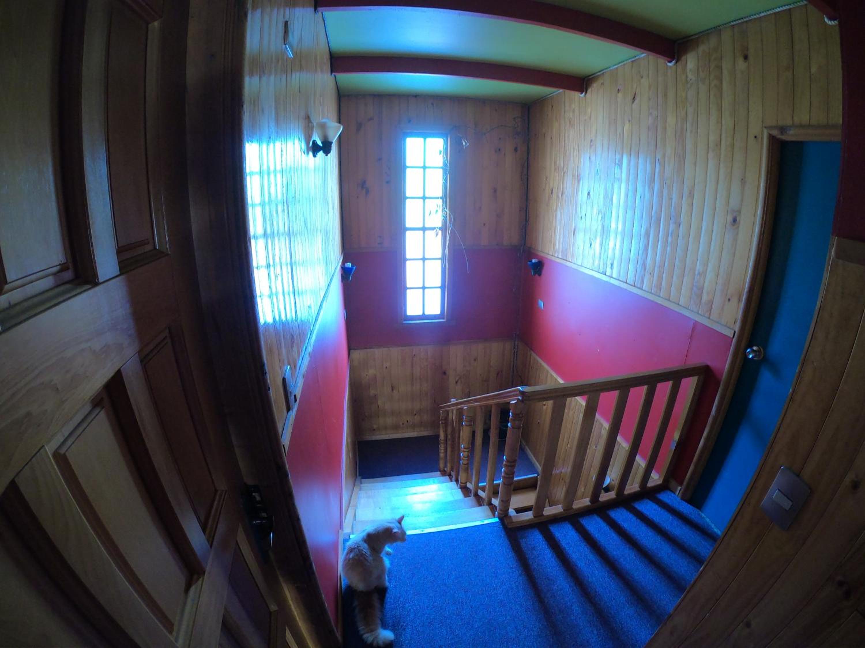 Profe Nelson view 5
