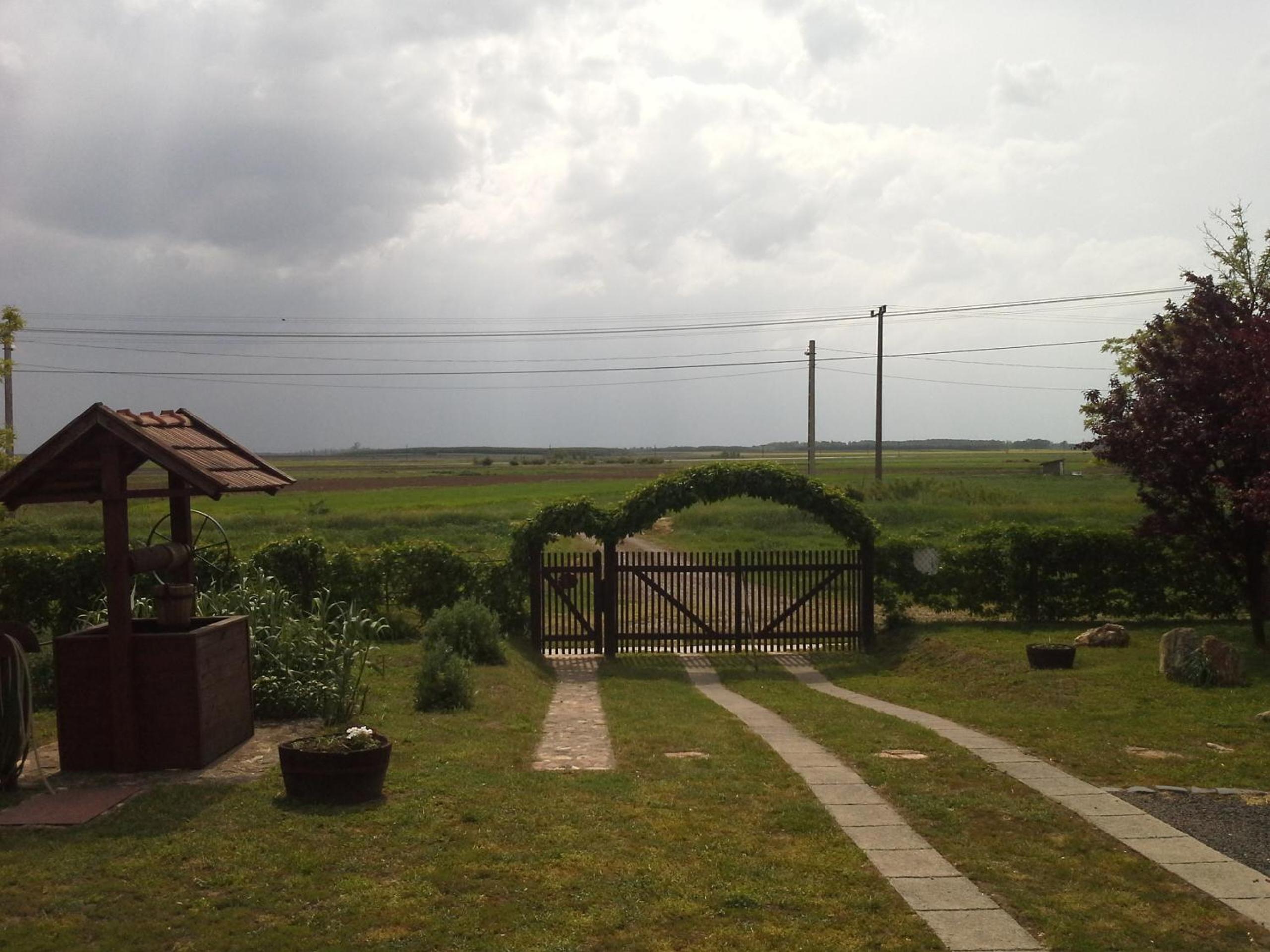 Photo 19