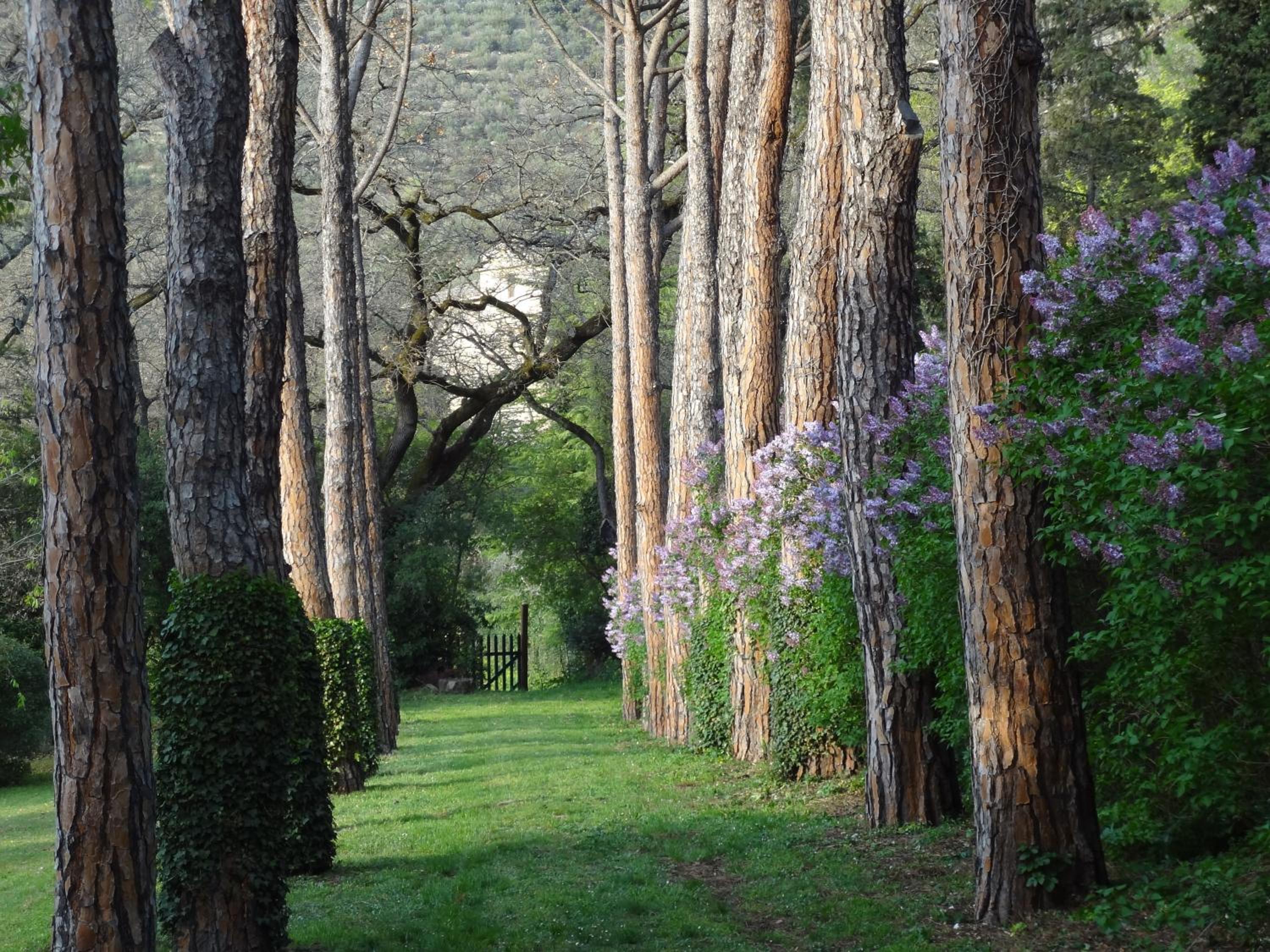 Villa Negri Arnoldi alla Bianca