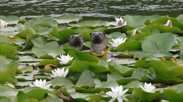 Photo 49