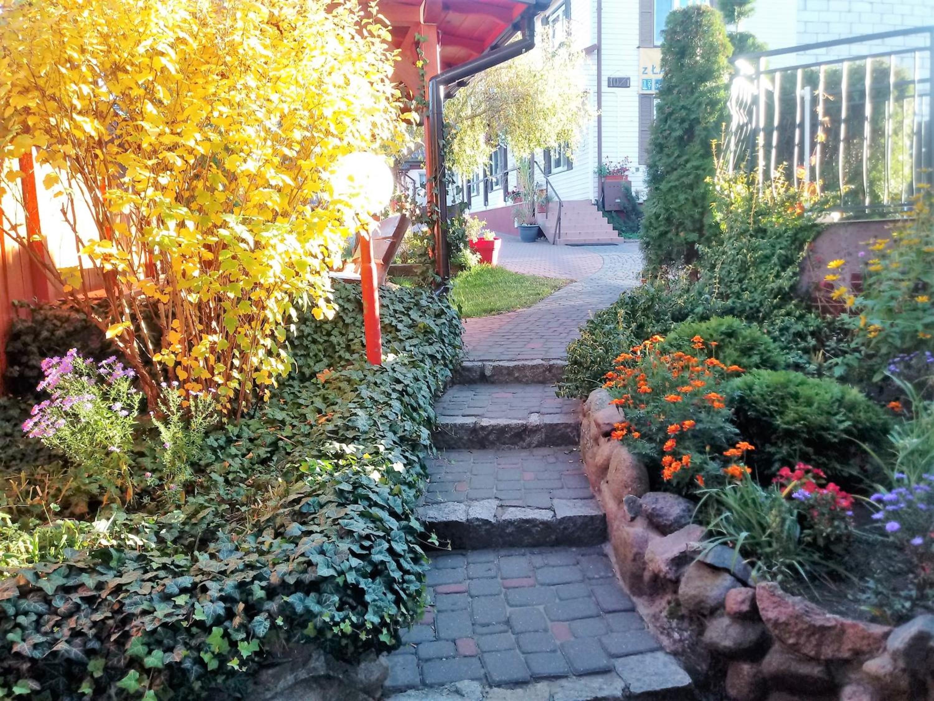 Photo 19