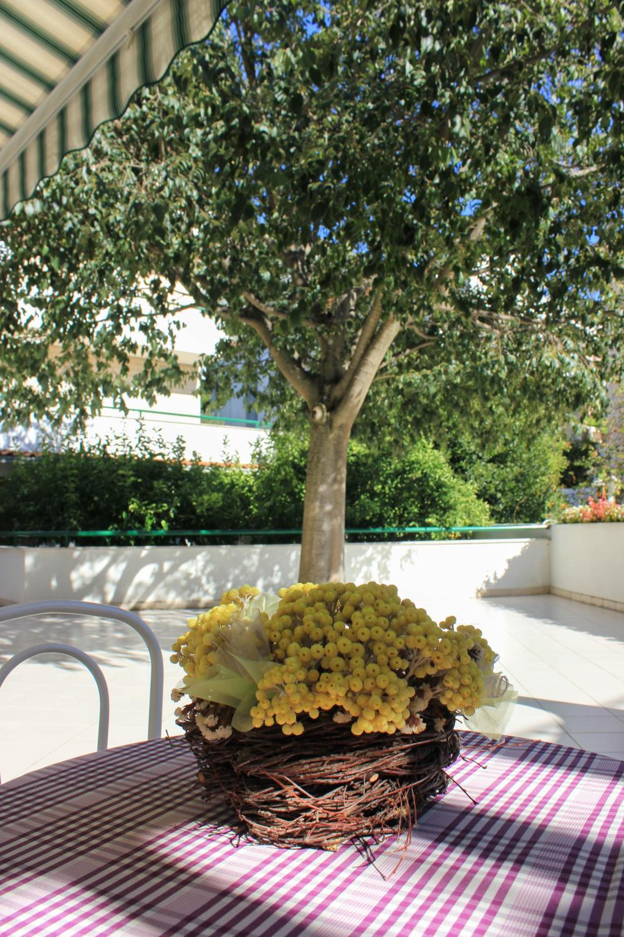 Apartments Pino view 2
