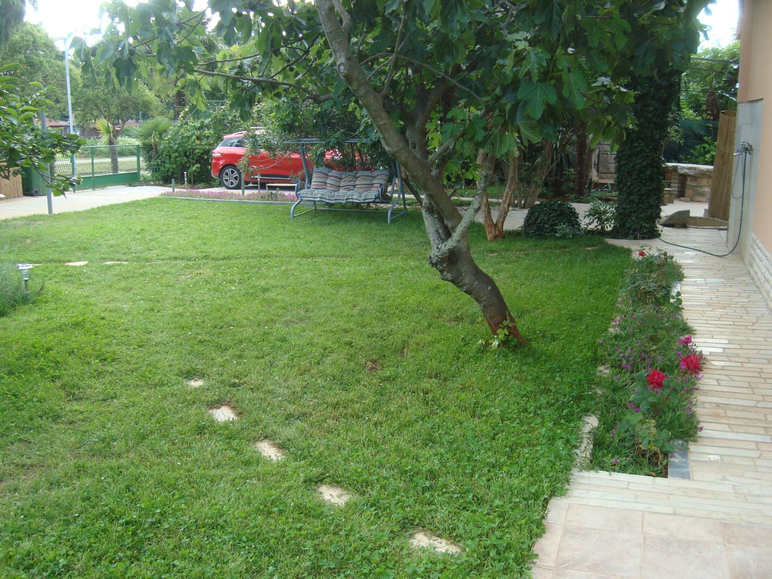 Photo 37