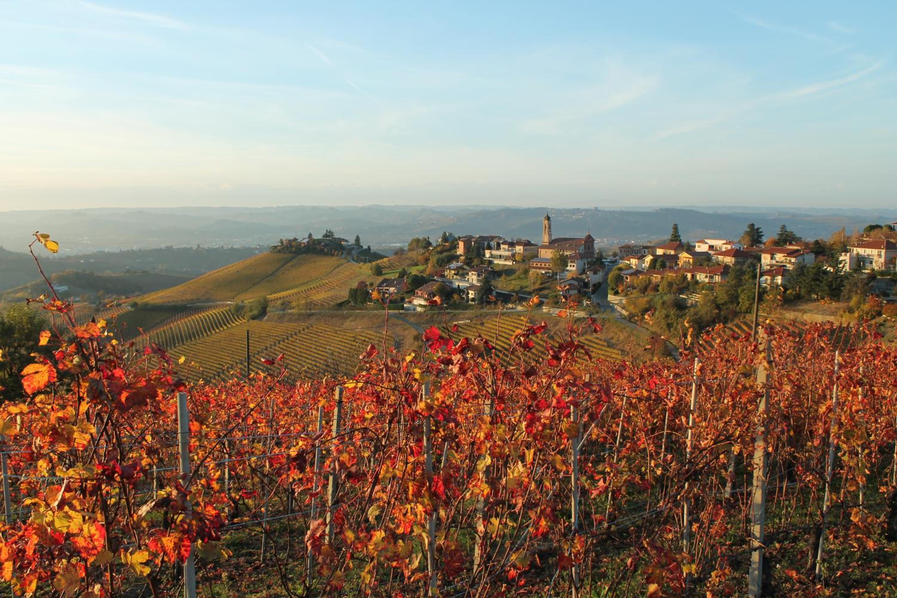 Agriturismo Il Bricco
